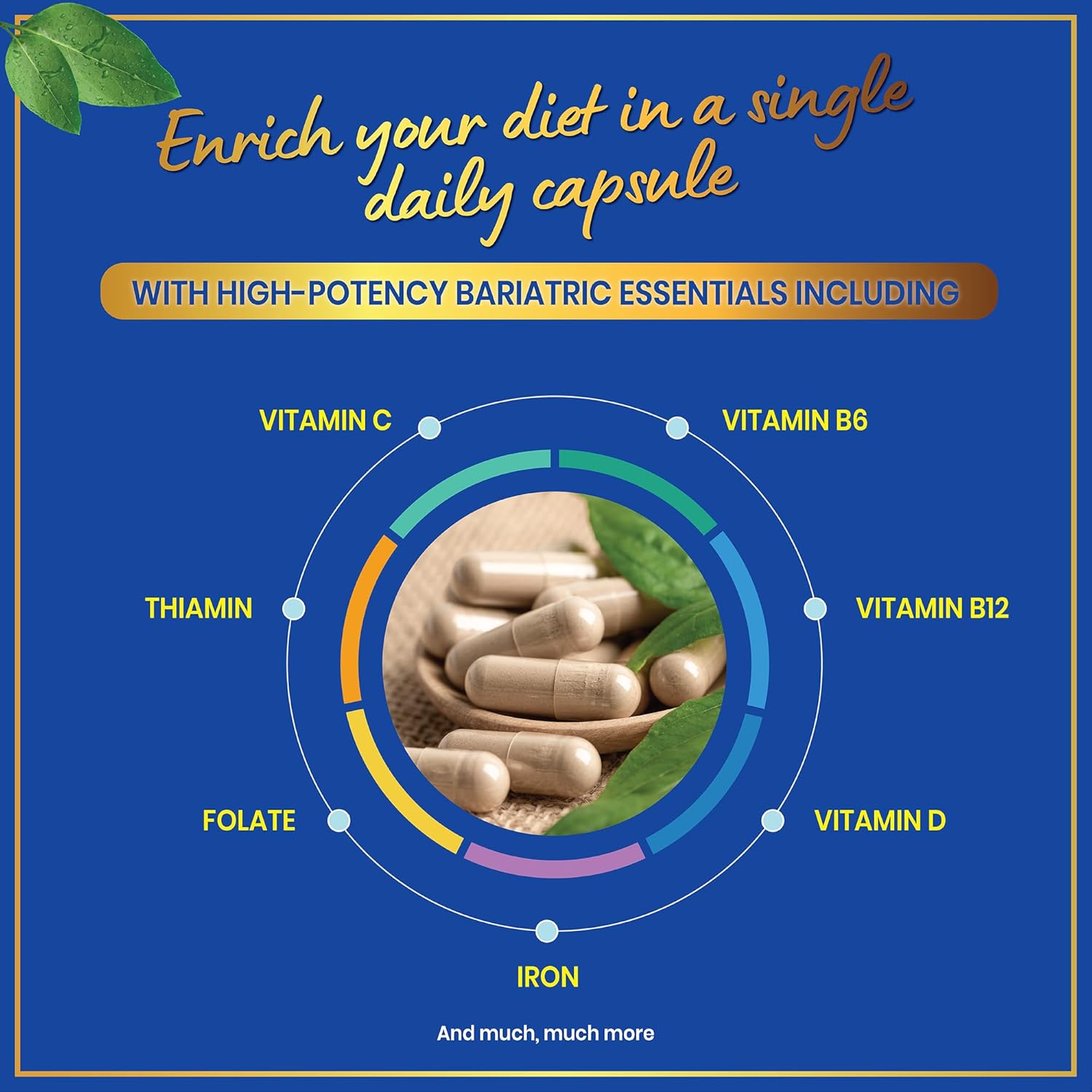 WINDSOR BOTANICALS 45mg Iron Bariatric Multivitamin - Easy One a Day for Women and Men - Gastric Bypass, Sleeve Recovery - 30 Capsules