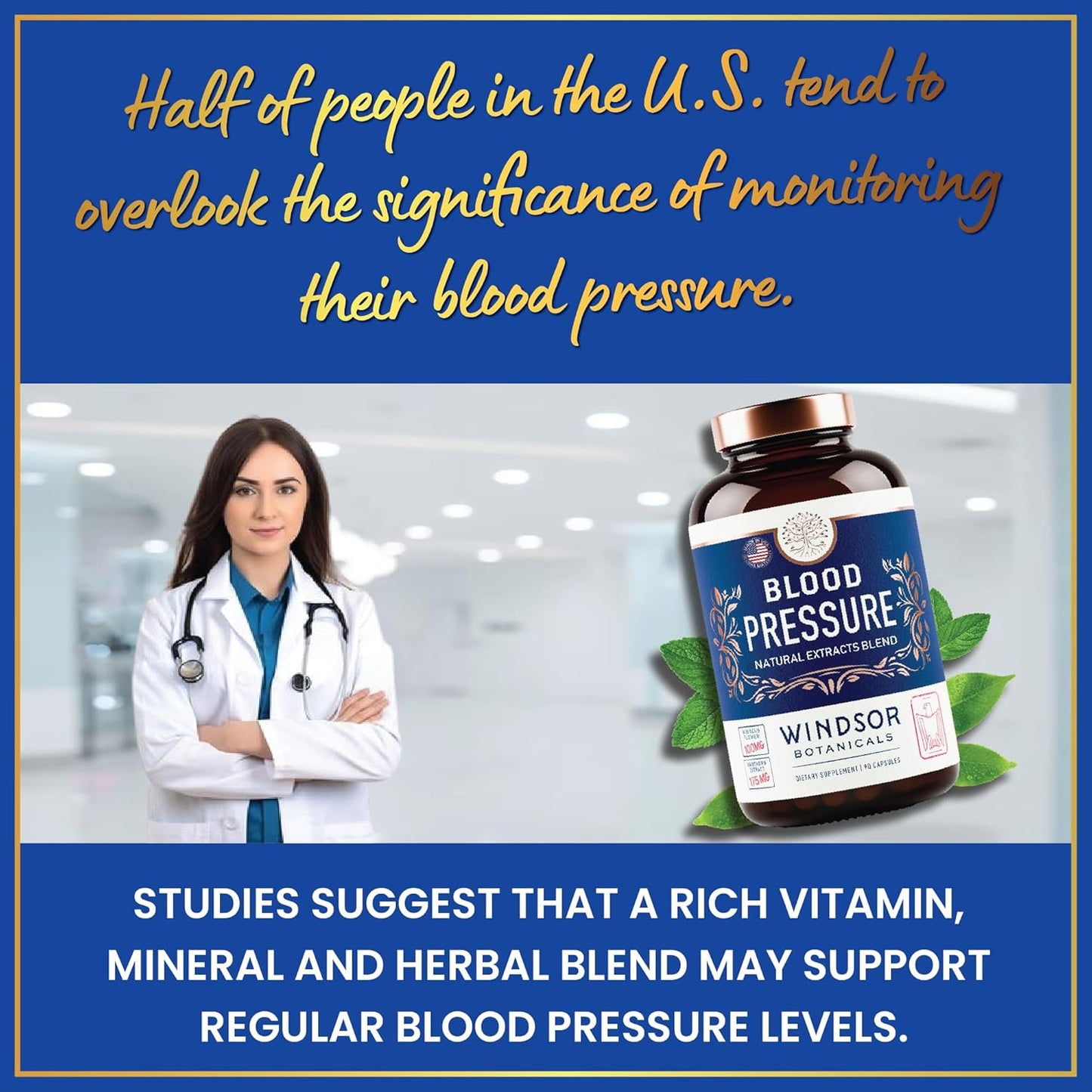 WINDSOR BOTANICALS Blood Pressure Support Supplement with Green Tea, Hibiscus, Hawthorn, Garlic - 90 Capsules, 3 Month Supply - Natural Blood Pressure Vitamin