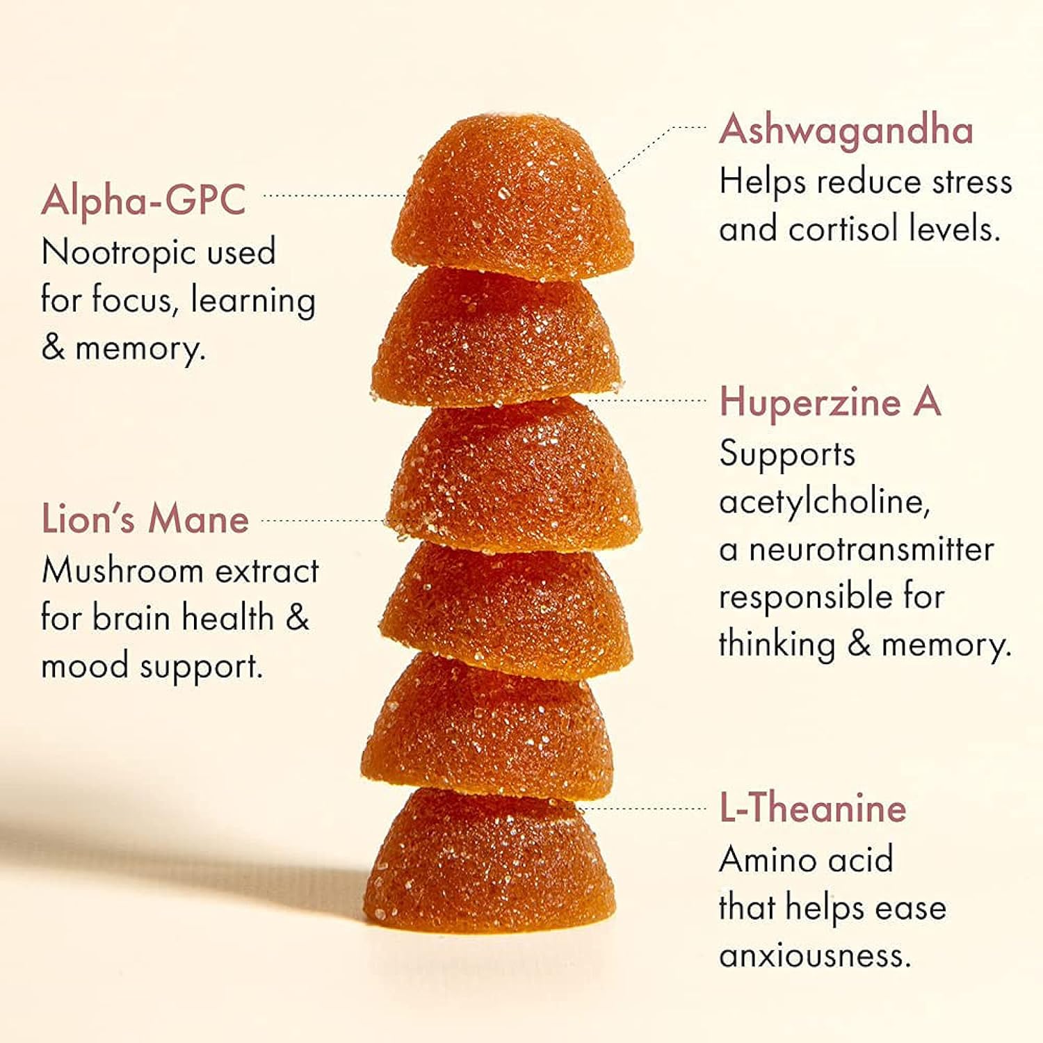 Winged Rise Up Energy & Brain Boost Gummies - Natural Caffeine, Ashwagandha, B12, Nootropics Alpha-GPC, Lion’s Mane, Huperzine A - Pineapple Flavor (30 Servings)