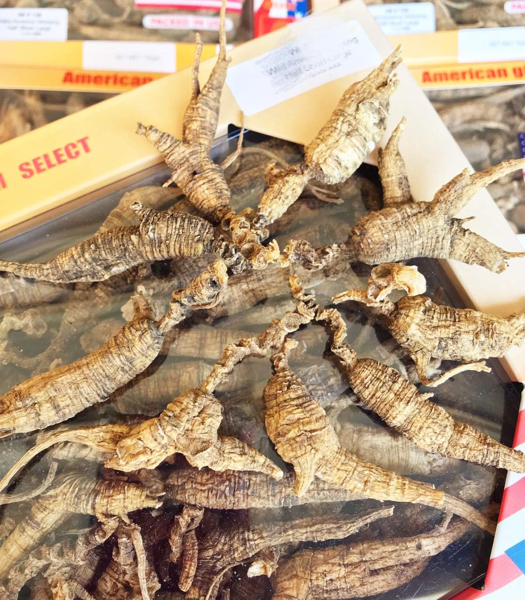 Wisconsin Wild American Ginseng Roots 15-20 Years Old 8oz Box - Hand-Selected Short Round Medium Size - WI 127# Cultivated Ginseng