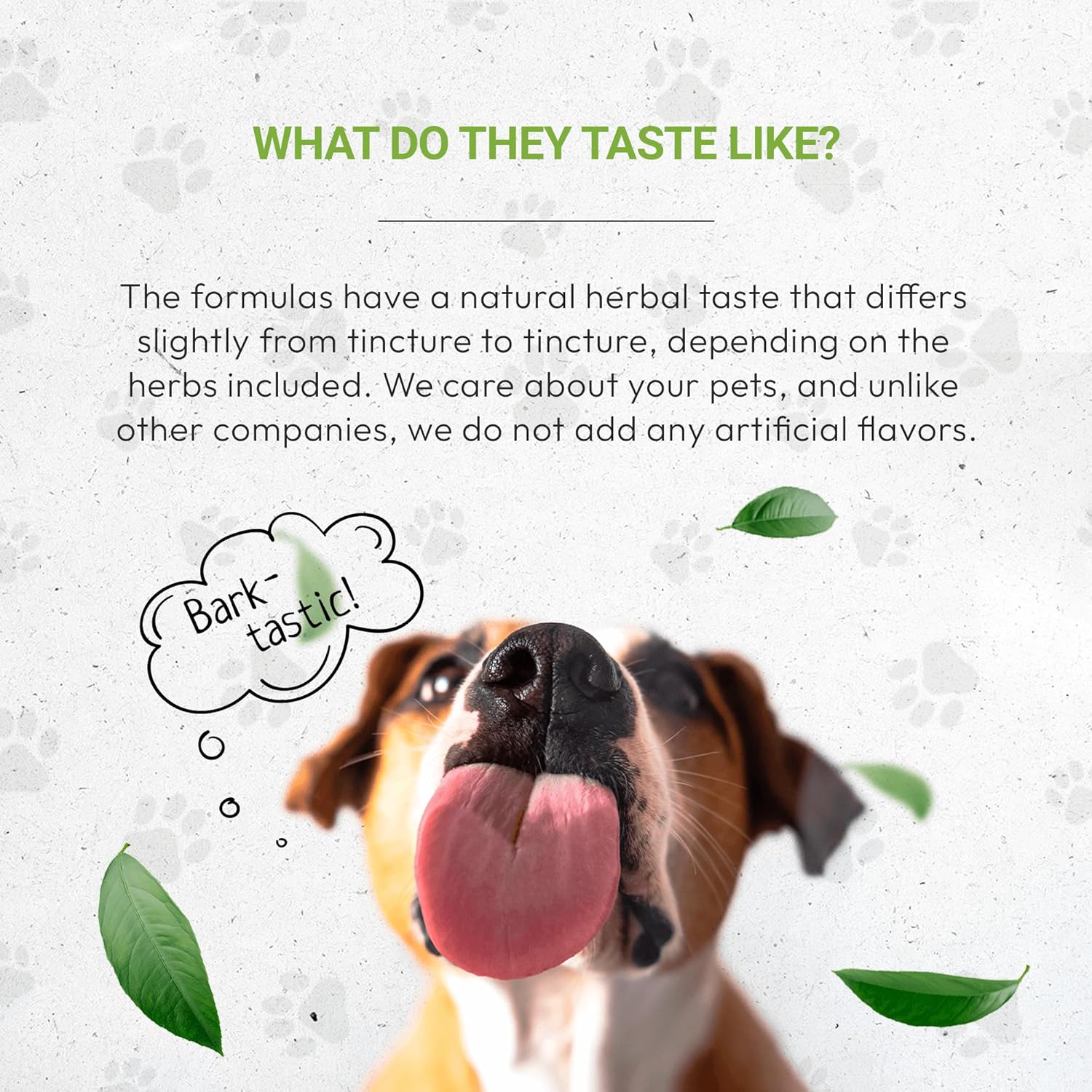 Wolf's Kidney Support Herbal Supplement for Dogs | Natural Alcohol-Free Extract | Rehmannia, Ginkgo, Echinacea, Marshmallow, Couch Grass, Hawthorn, Uva Ursi | Healthy Kidney Function | 2 oz