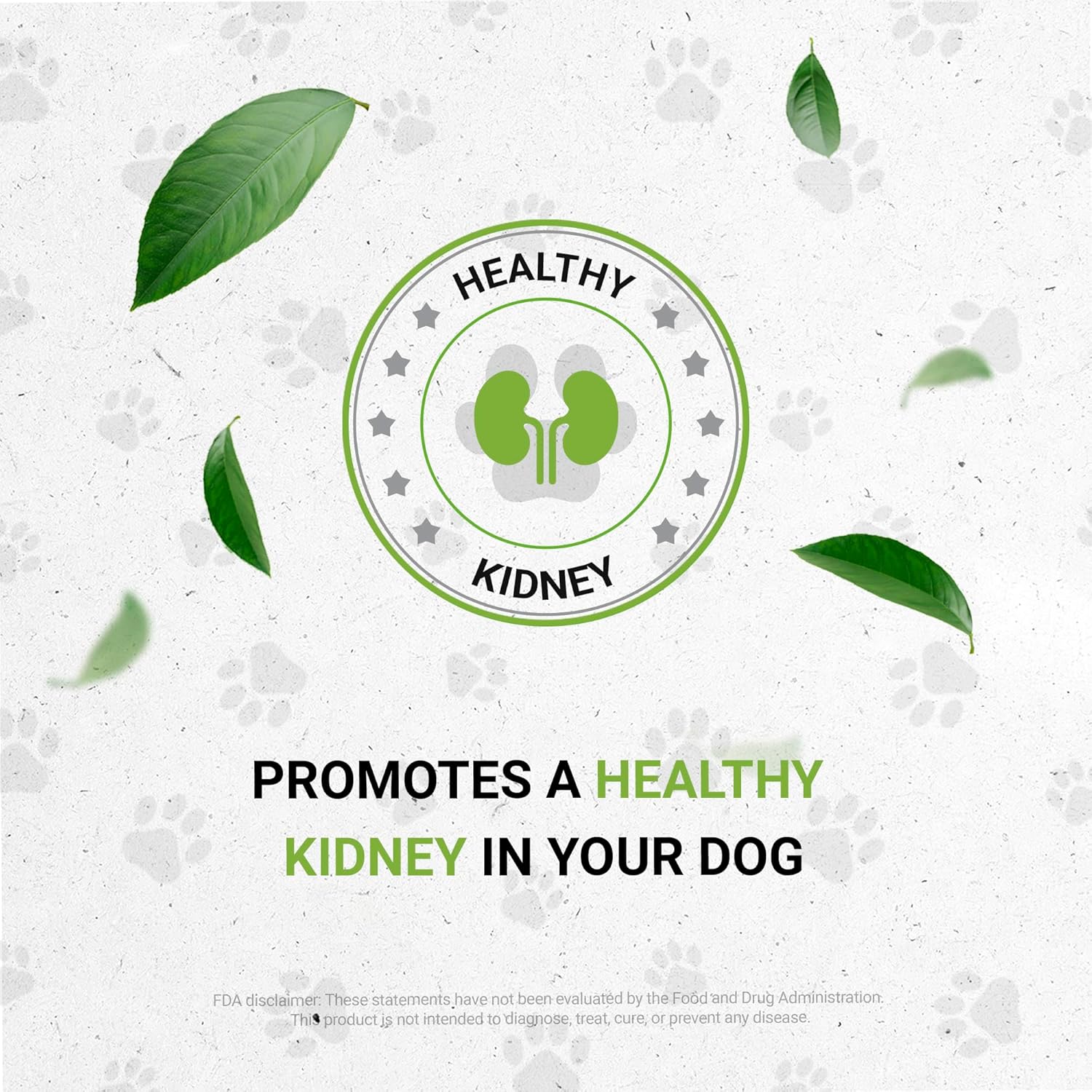 Wolf's Kidney Support Herbal Supplement for Dogs | Natural Alcohol-Free Extract | Rehmannia, Ginkgo, Echinacea, Marshmallow, Couch Grass, Hawthorn, Uva Ursi | Healthy Kidney Function | 2 oz