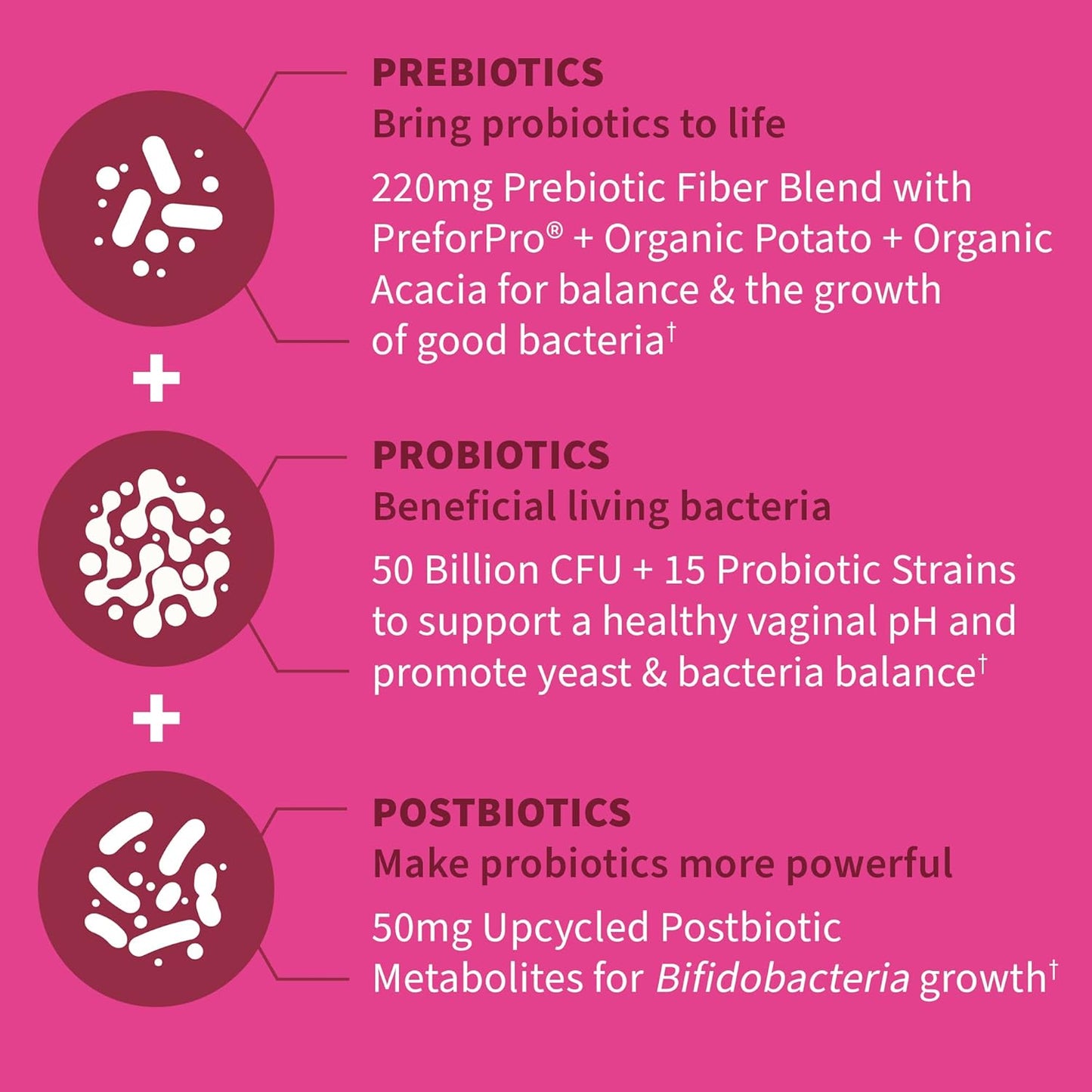 Women's 3-in-1 Pre, Pro, Postbiotic Supplement for Digestive & Vaginal Health - Garden of Life Dr Formulated (30 Day Supply)