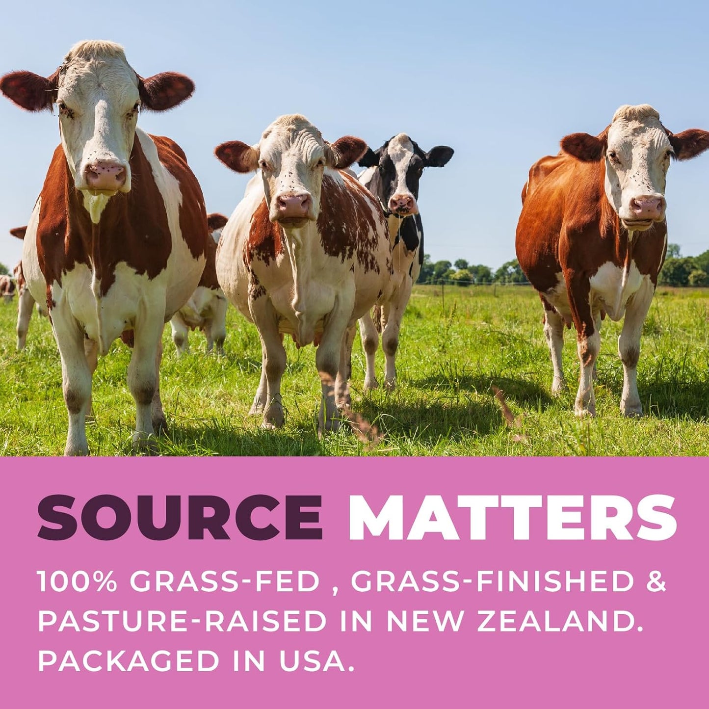 Women's Beef Organ Supplement for Energy & Health - Liver, Kidney, Heart, Uterus Tissue - Pasture Raised in NZ - 120 Capsules