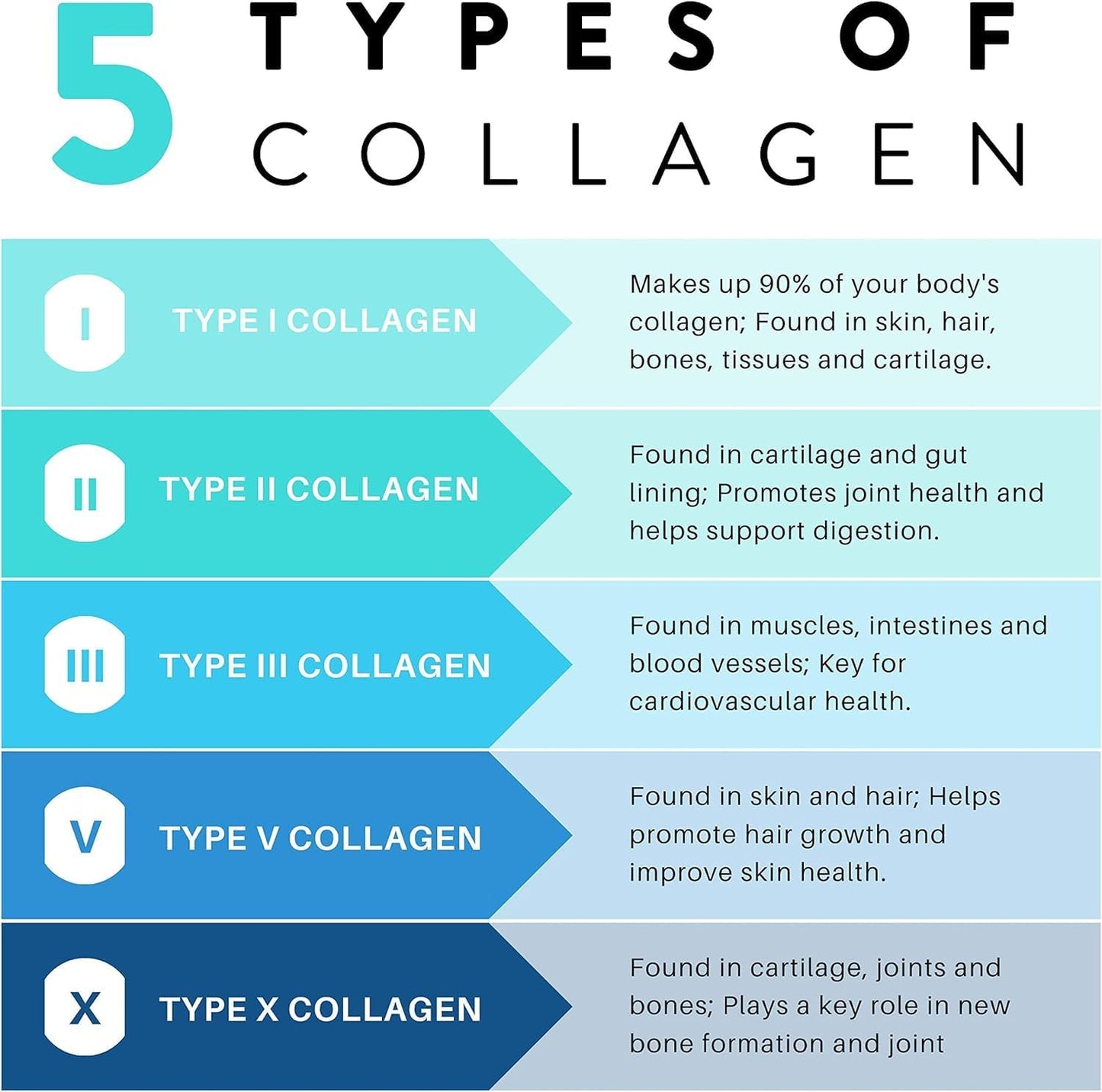 Women's Collagen Supplement with Biotin, Keratin, and Hyaluronic Acid - Supports Hair, Skin, and Nails - Type I, II, III, V, X - 60 Capsules