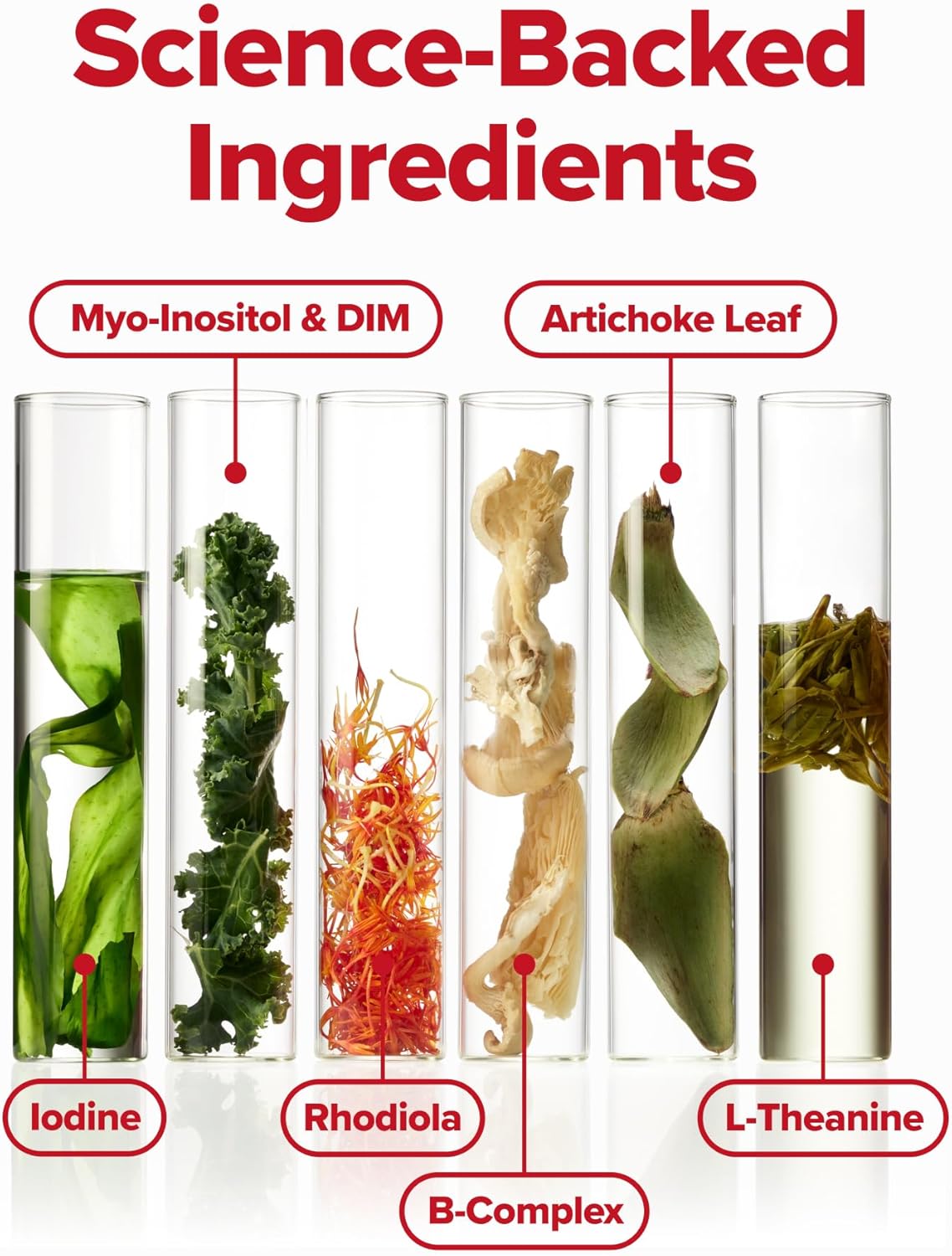 Women's Endocrine Superfood Powder with Rhodiola, DIM, and Red Superfoods - Supports Cortisol Levels, Hormonal Balance, Thyroid, and Gut Health - 25 Servings