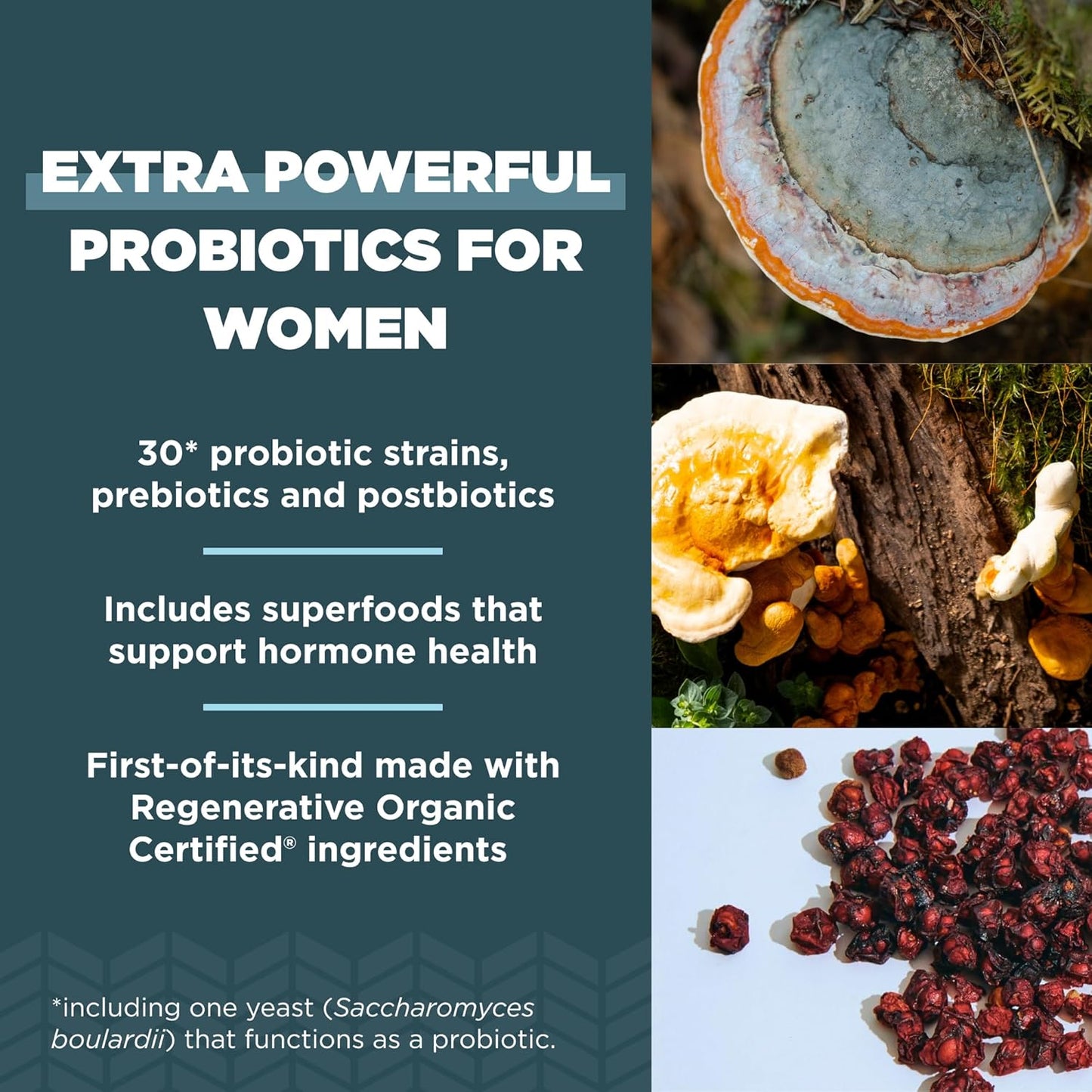Women's Extra Strength Probiotics with 25 Billion CFUs for Healthy Digestion & Immune Support - 60 Count