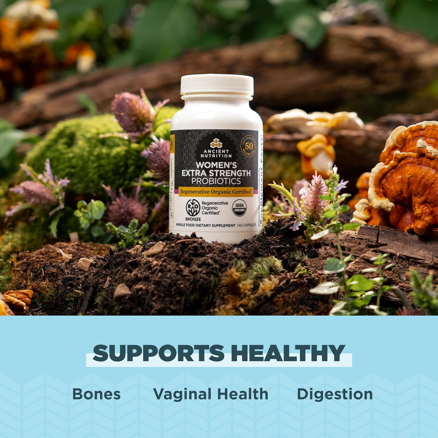 Women's Extra Strength Probiotics with 25 Billion CFUs for Healthy Digestion & Immune Support - 60 Count