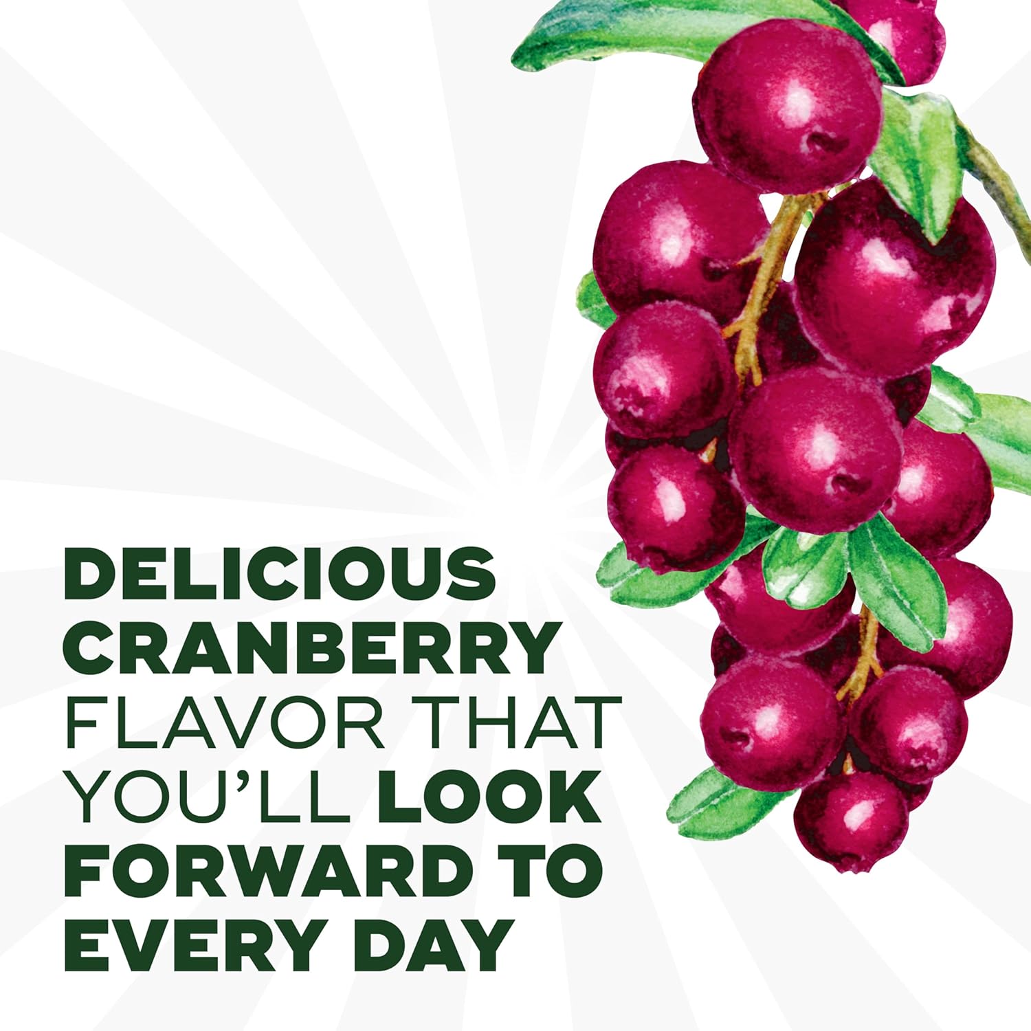 Women's Health Gummies with Prebiotic, Probiotic, and Cranberry for Digestive and Feminine Health, 50 Count