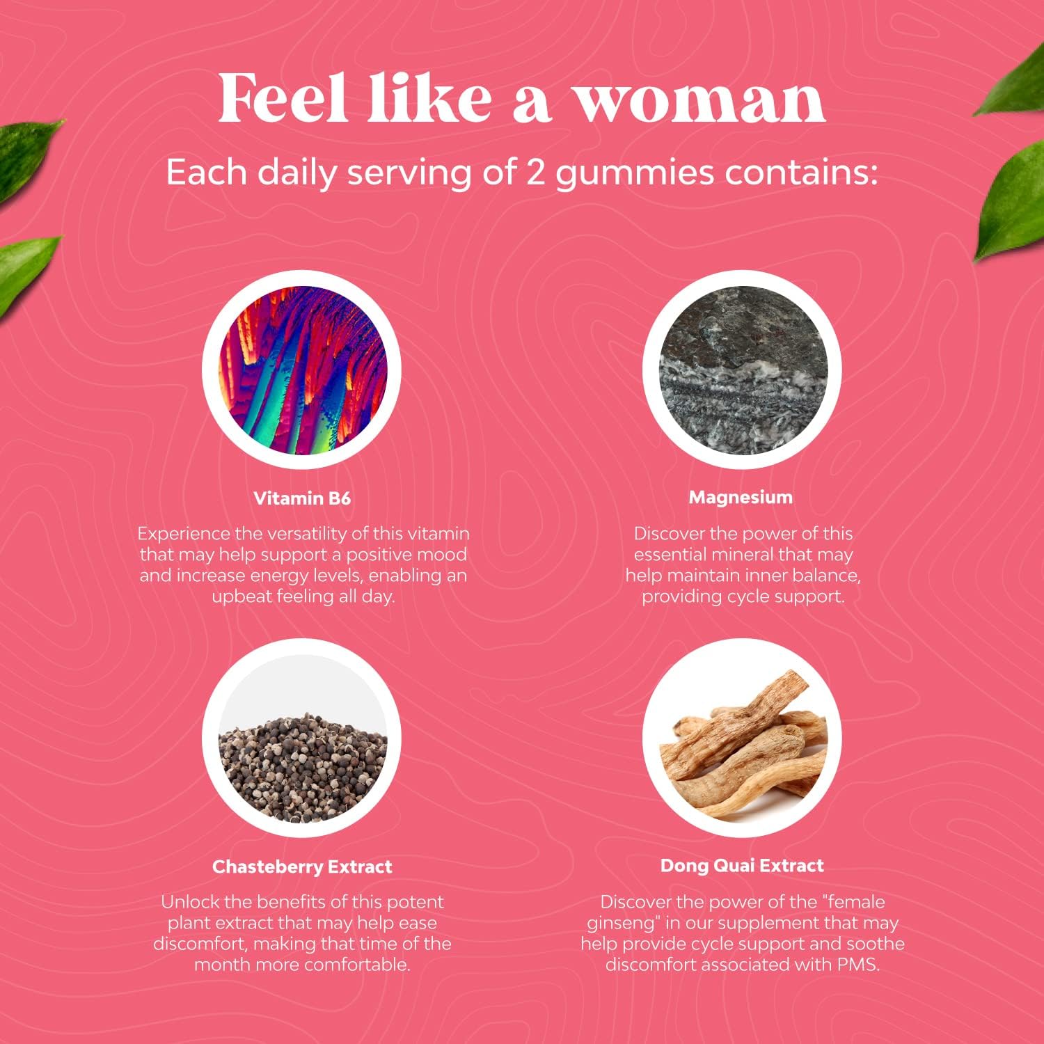 Women's Hormone Balance Gummies with Vitamin B6 and Dong Quai - Menopause Relief and PMS Support Supplement for Women - Natural Cycle Support for All Ages