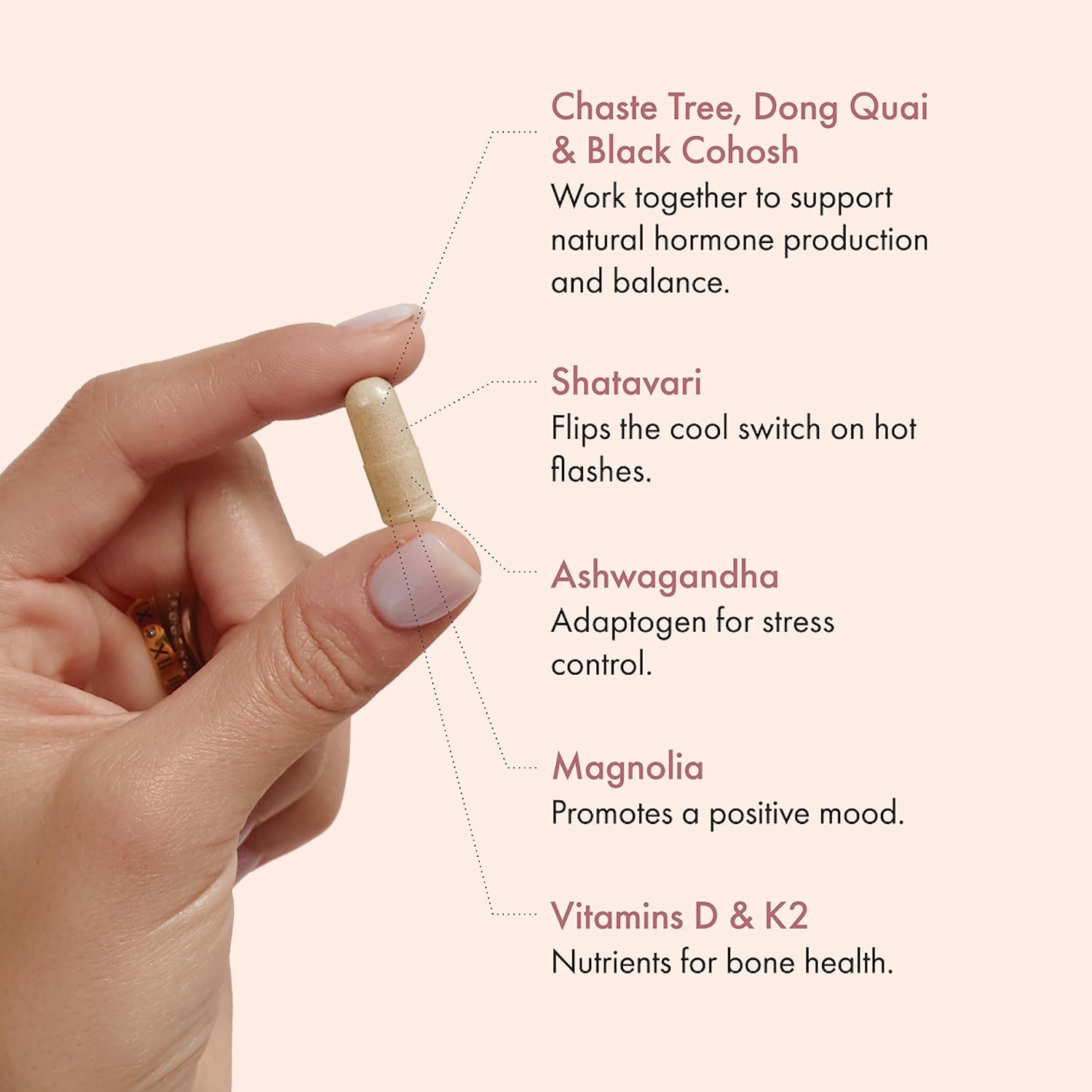 Women's Menopause Support Capsules | Hormone Balance, Hot Flashes, Night Sweats | Chaste Tree, Dong Quai, Black Cohosh | 60ct