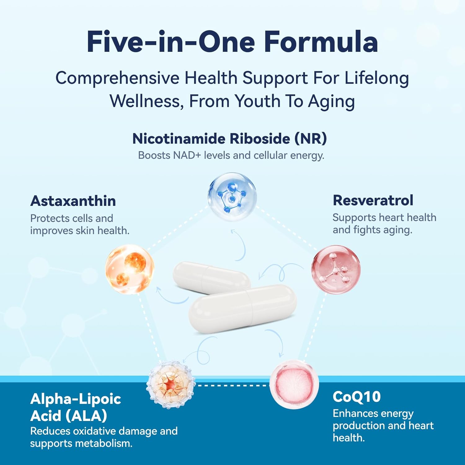 Women's NAD+ and Urolithin A Supplements for Cellular Energy and Muscle Strength - 1000 MG