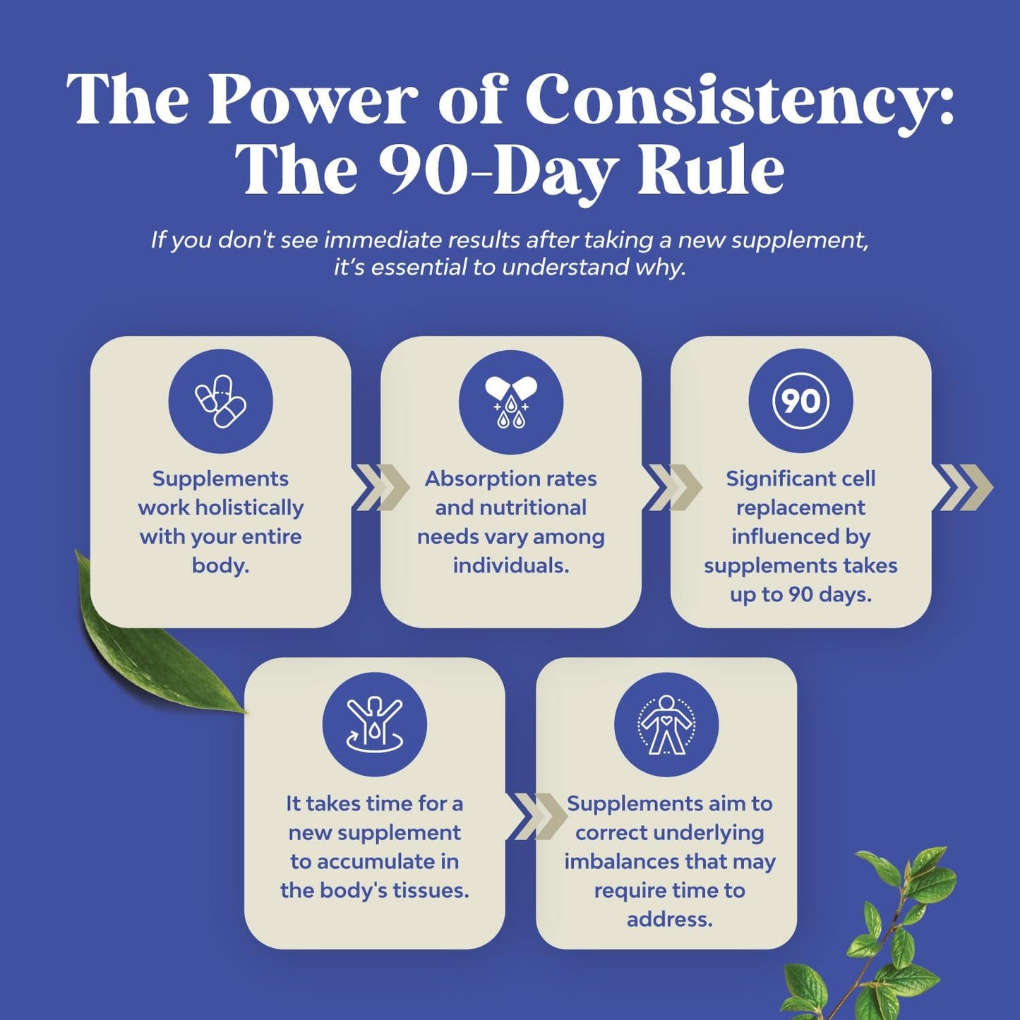 Women's Natures Craft Candi-Clear Full Body Cleanse Detox - Anti Overgrowth Gut Detox with Caprylic Acid, Black Walnut, Wormwood, and Oregano - Includes Pre and Probiotics