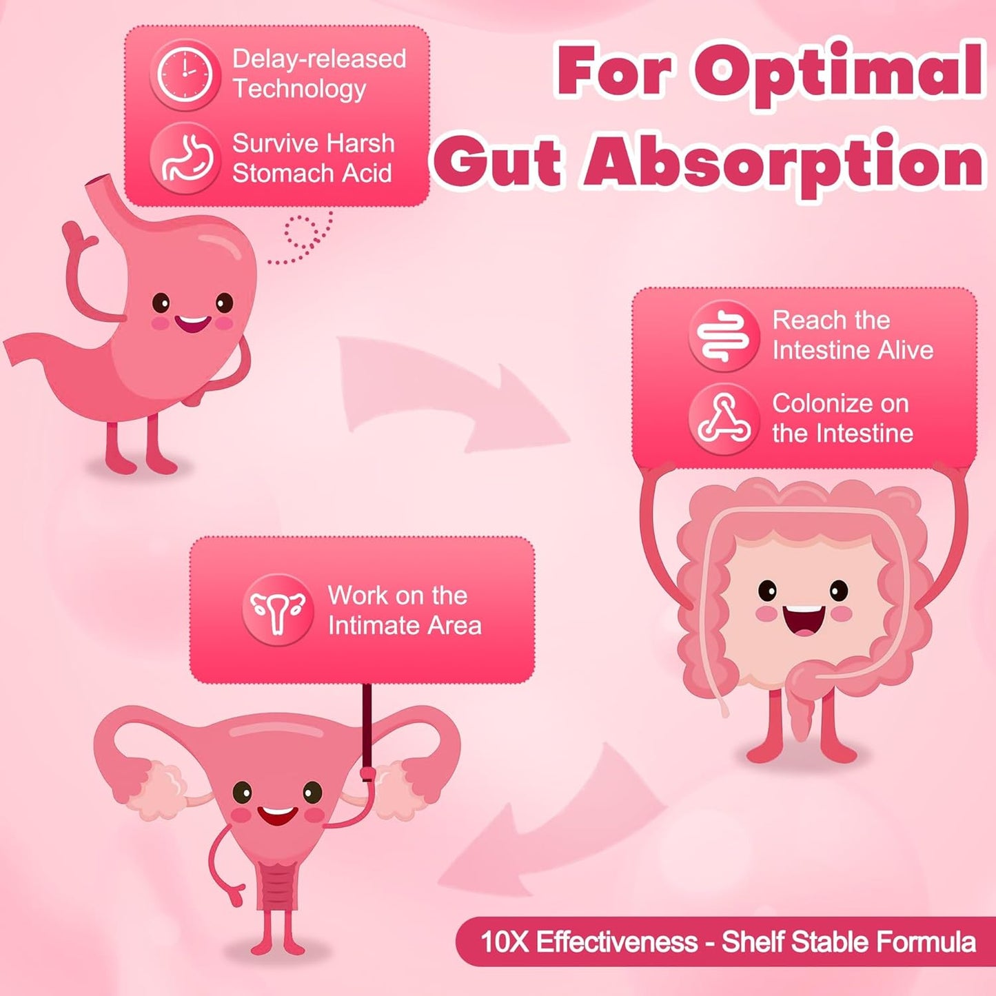Women's NutriGut Probiotics: 100 Billion CFUs with Prebiotics, Enzymes, Cranberry, D-Mannose for Gut, Vaginal & Urinary Tract Health - 90 Capsules