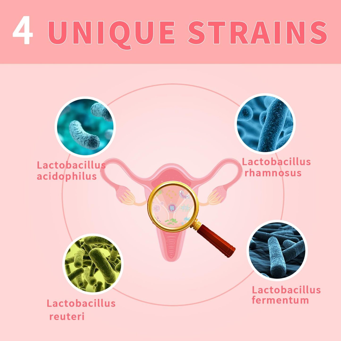 Women's Probiotic Blend for PH Balance, Digestive & Immune Health - 4 Strains, Supports Vaginal Flora & Odor - 60 Ct