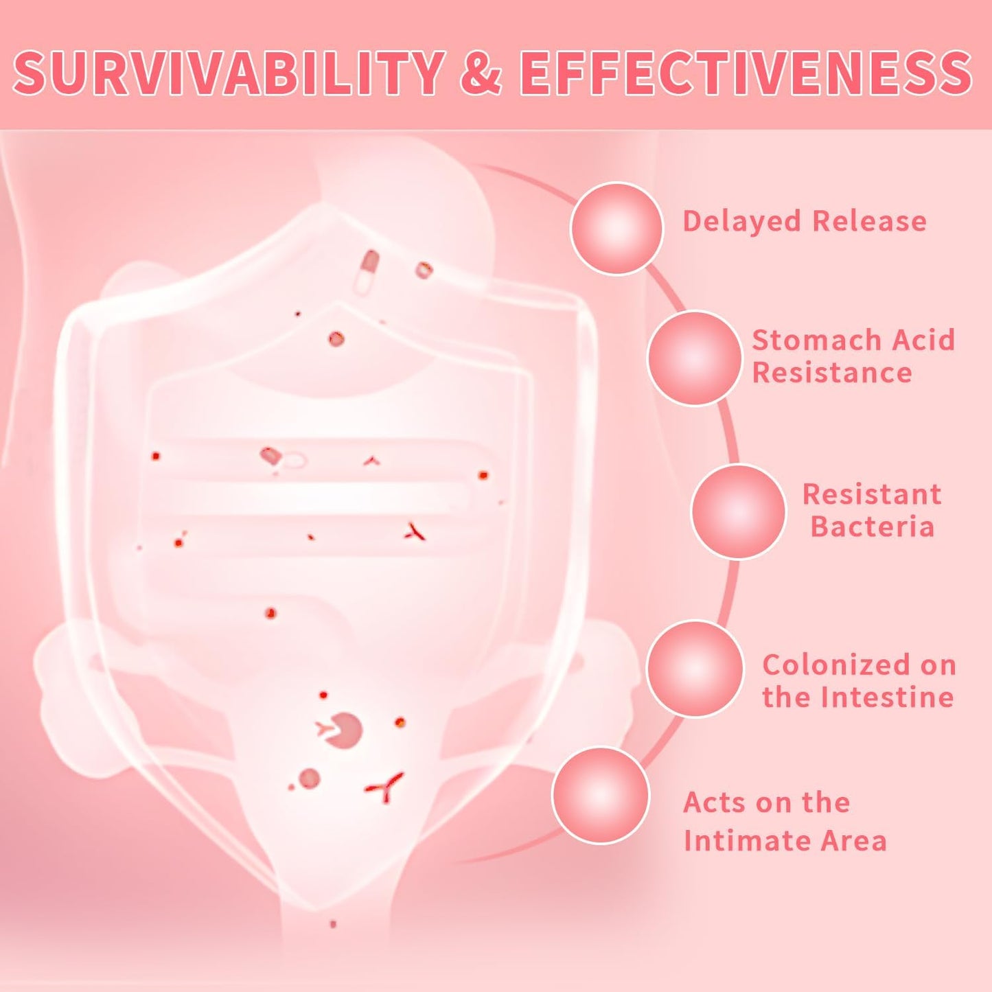 Women's Probiotic Blend for PH Balance, Digestive & Immune Health - 4 Strains, Supports Vaginal Flora & Odor - 60 Ct