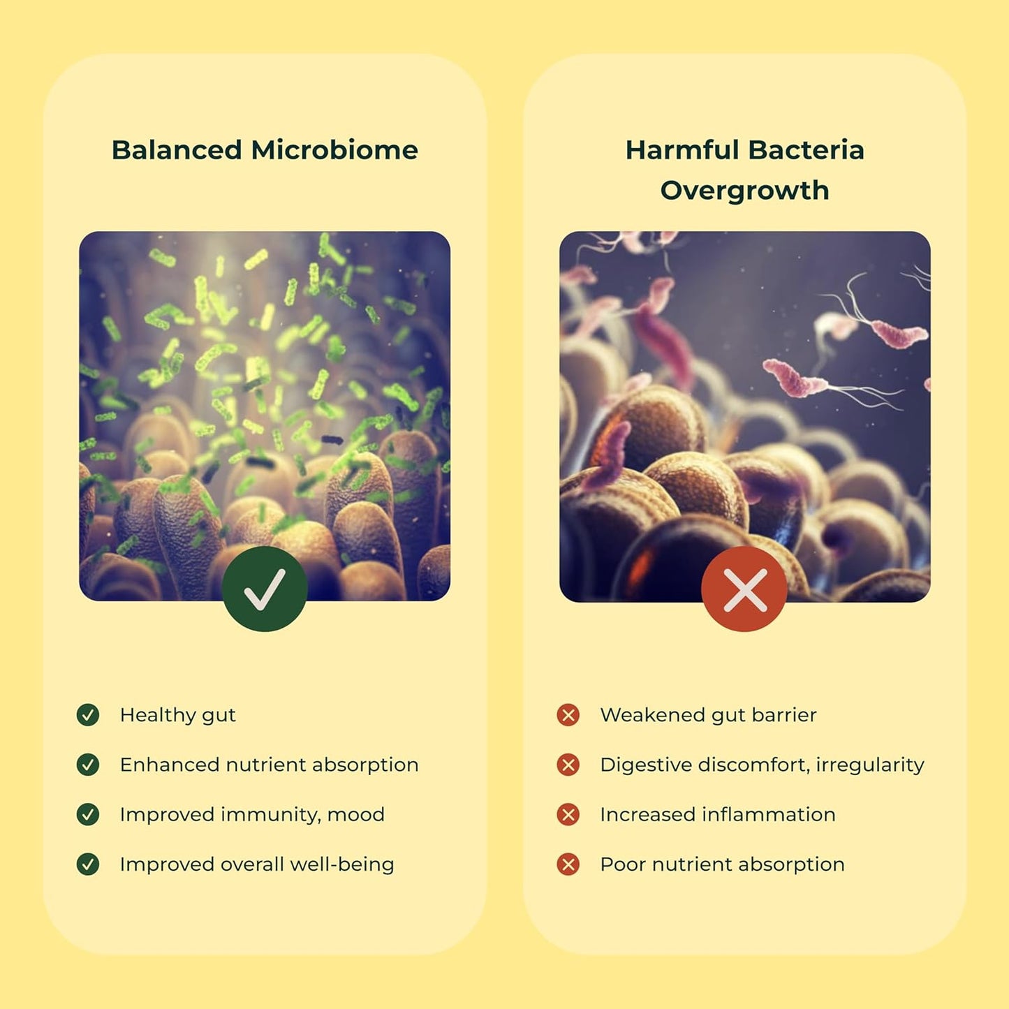 Women's Probiotic Supplement for Vaginal Health with Bacillus Coagulans - 60 Capsules, 4.4 Billion CFUs - Supports pH Balance, Odor Control, and Yeast Infections