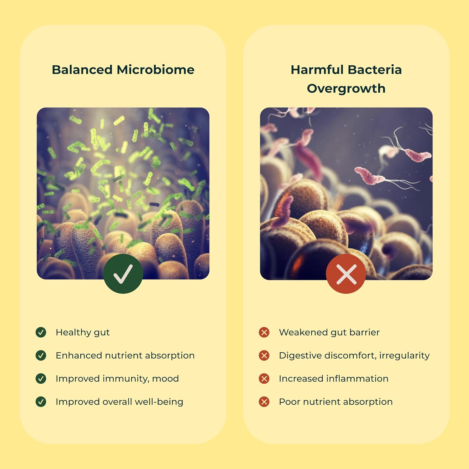 Women's Probiotic Supplement for Vaginal Health with Bacillus Coagulans - 60 Capsules, 4.4 Billion CFUs - Supports pH Balance, Odor Control, and Yeast Infections