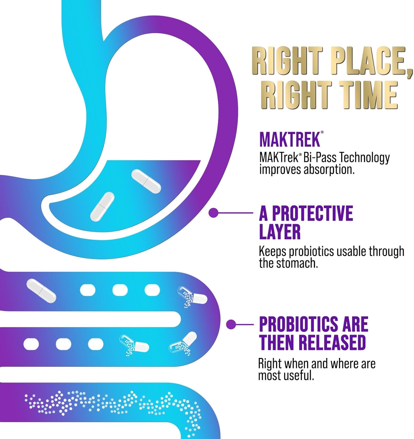 Women's Probiotic Supplement w/ 80 Billion CFU, Prebiotics, & Acidophilus - Immune & Digestive Support, Relieves Constipation - 30 Capsules