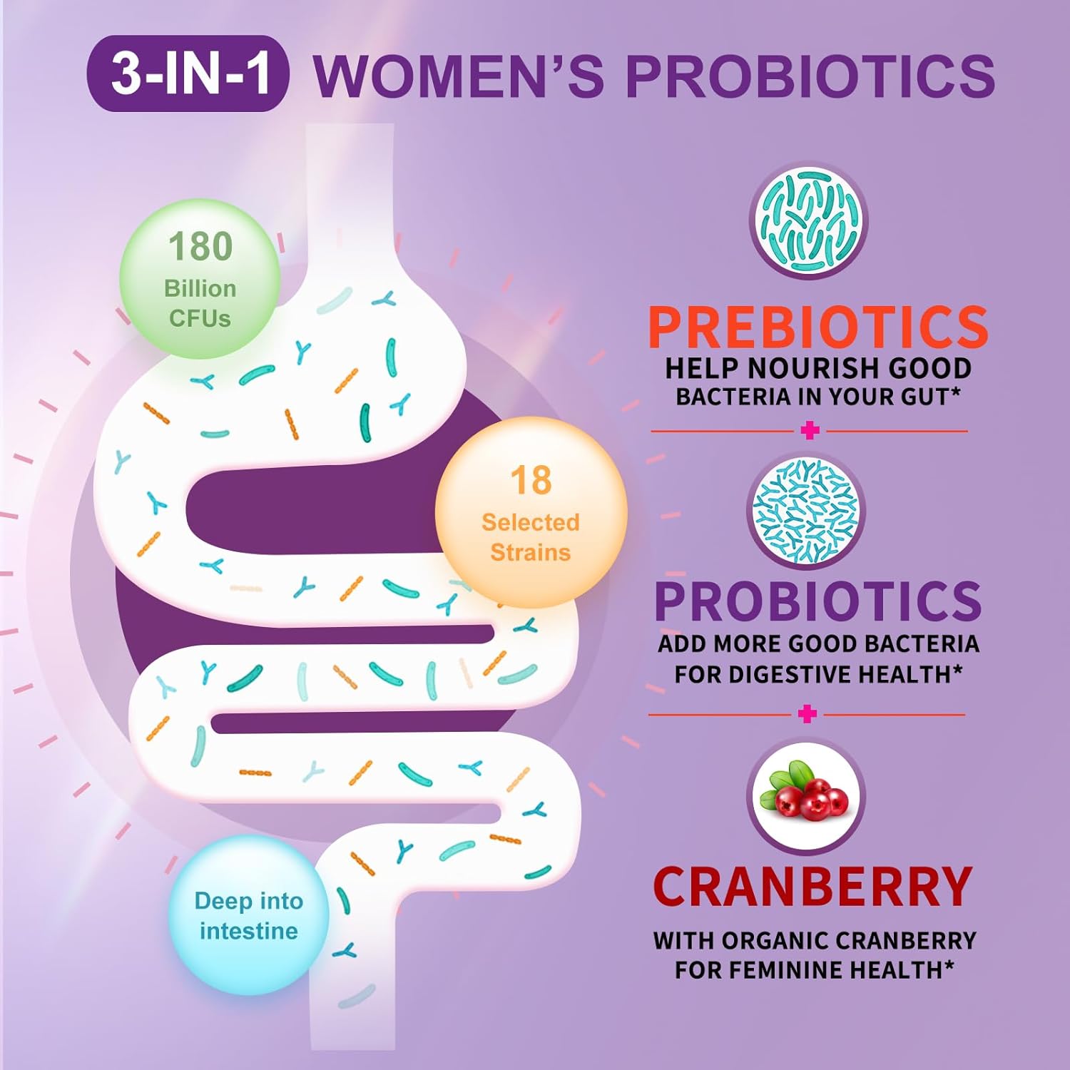 Women's Probiotic with Organic Prebiotics, Cranberry Extract, D-Mannose & Digestive Enzymes - 180 Billion CFUs, 18 Strains - 90 Capsules for Digestive & Immune Health