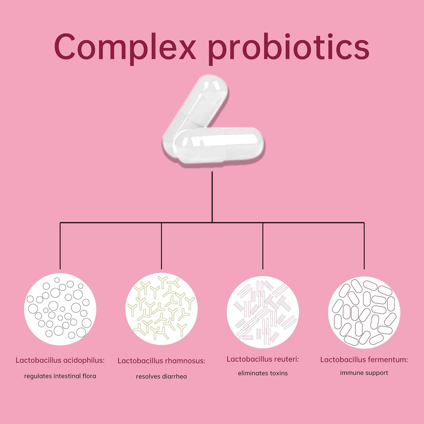 Women's Probiotic with Prebiotics & Lactobacillus Blend - Supports Vaginal pH Balance, Health Flora, 60 Capsules