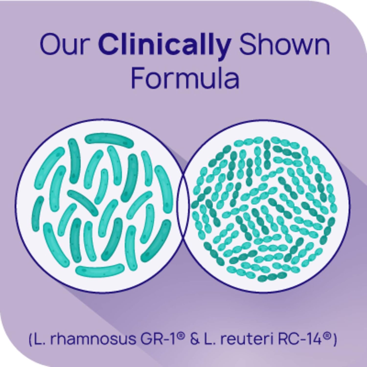 Women's RepHresh Pro-B Probiotic Supplement - 30 Oral Capsules for Gut Health and Balance