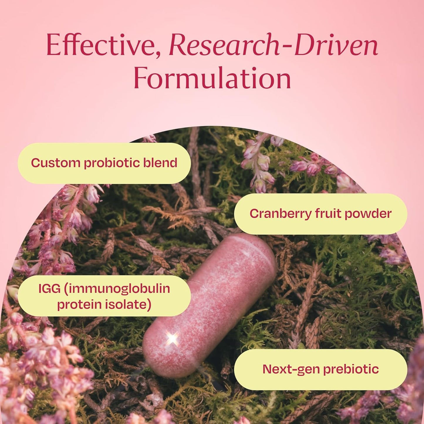 Women's Vaginal Probiotic with Lactobacillus, Cranberry, and Prebiotics - Supports Vaginal and Digestive Health - 60 Capsules