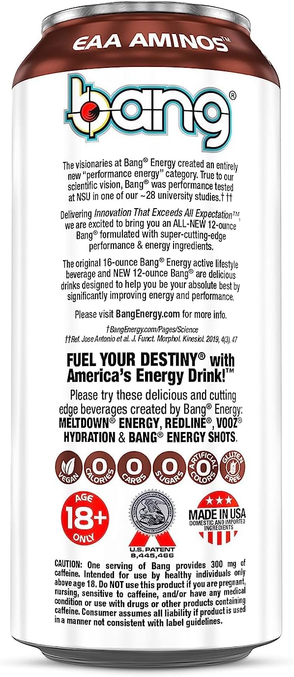 Wyldin' Watermelon Sweet Ice Tea - Powerful Energy & Performance Drink with Creatine, EAA Aminos, and CoQ10 - Sugar-Free and Zero Calories - Pre and Post Workout - (12) Cans