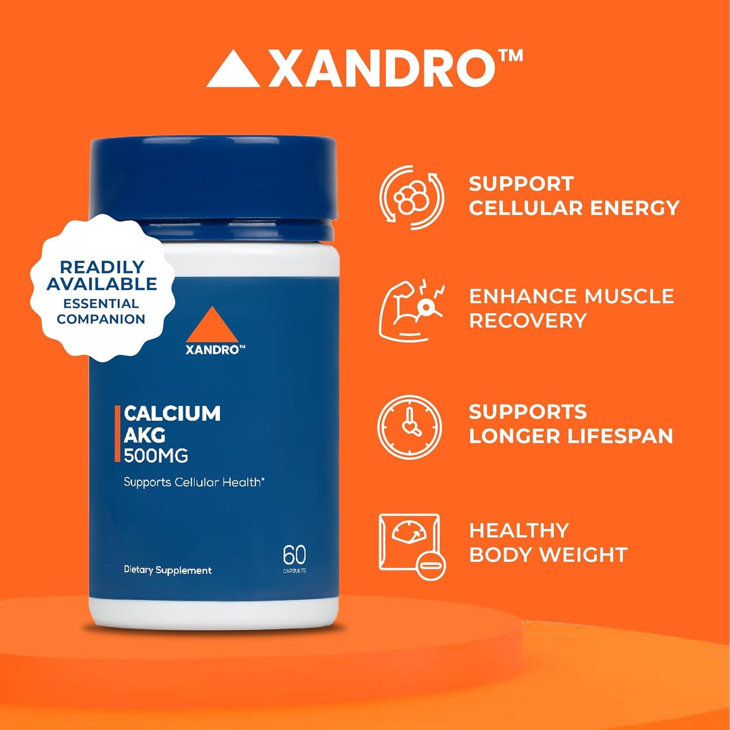 XANDRO Calcium AKG 500 mg Capsules - 60 Vegan Capsules for Cellular Health