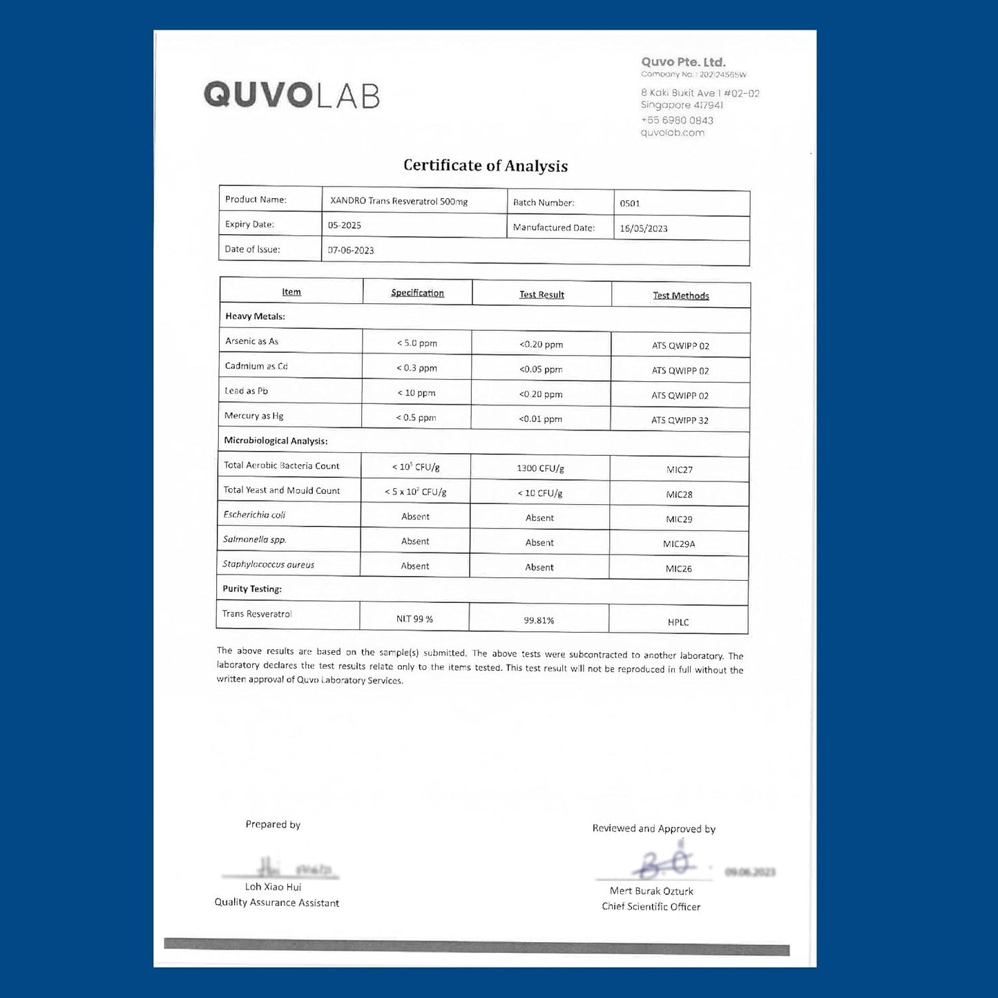 XANDRO Trans Resveratrol 500 mg Capsules - Vegan Antioxidant Support for Optimal Health - 60 Lab-Tested Capsules