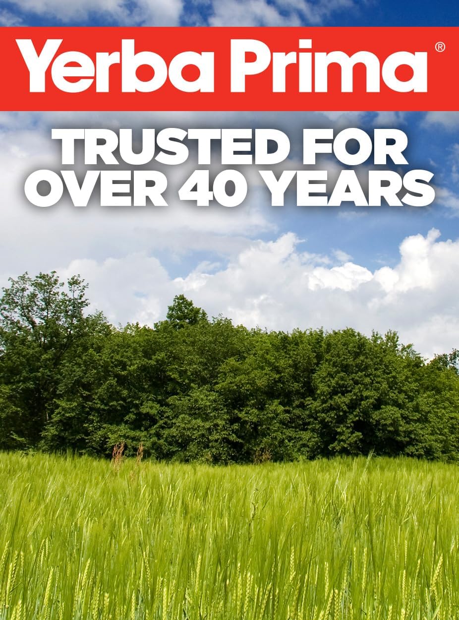 Yerba Prima Daily Fiber Formula Powder - 12 oz - Vegan Digestive Support Supplement with Soluble & Insoluble Fiber - Non-GMO & Gluten-Free