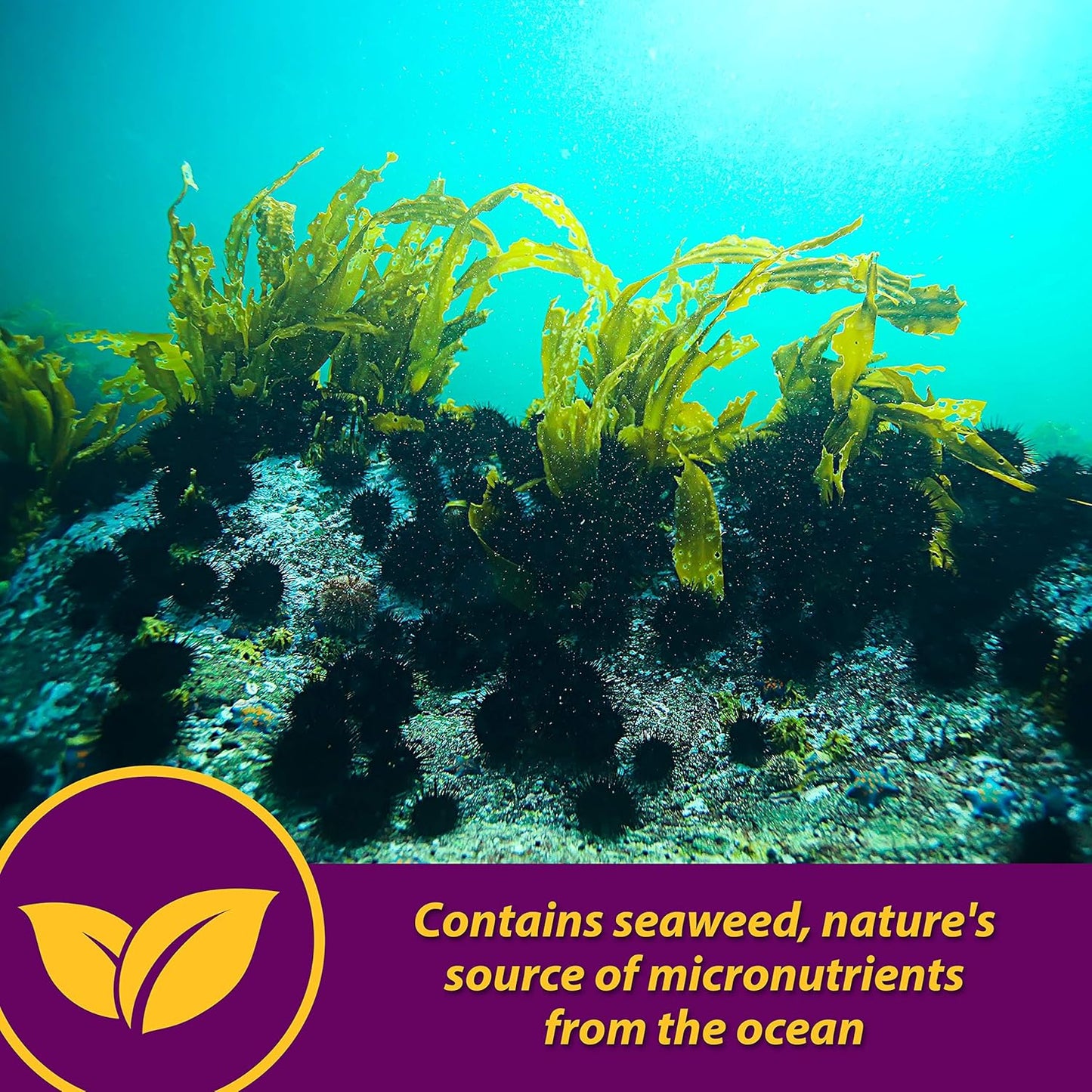 YFCACT Horse Health Maxum Crumbles Concentrated Feed Supplement - 25 lb - Provides Essential Nutrients for Equine Athletes