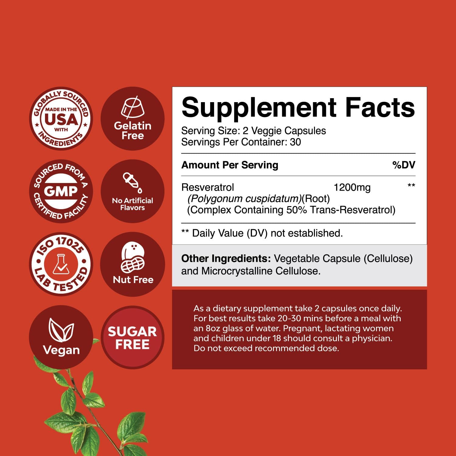 Youthful Trans Resveratrol & Vitamin B3 Capsules | AMPK Activator Brain Booster | Immune Support & Energy Supplement