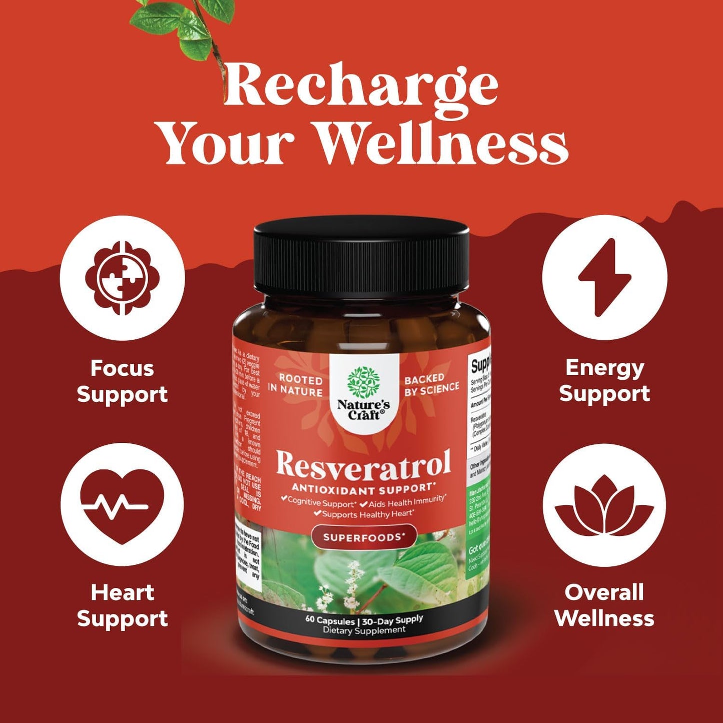Youthful Trans Resveratrol & Vitamin B3 Capsules | AMPK Activator Brain Booster | Immune Support & Energy Supplement