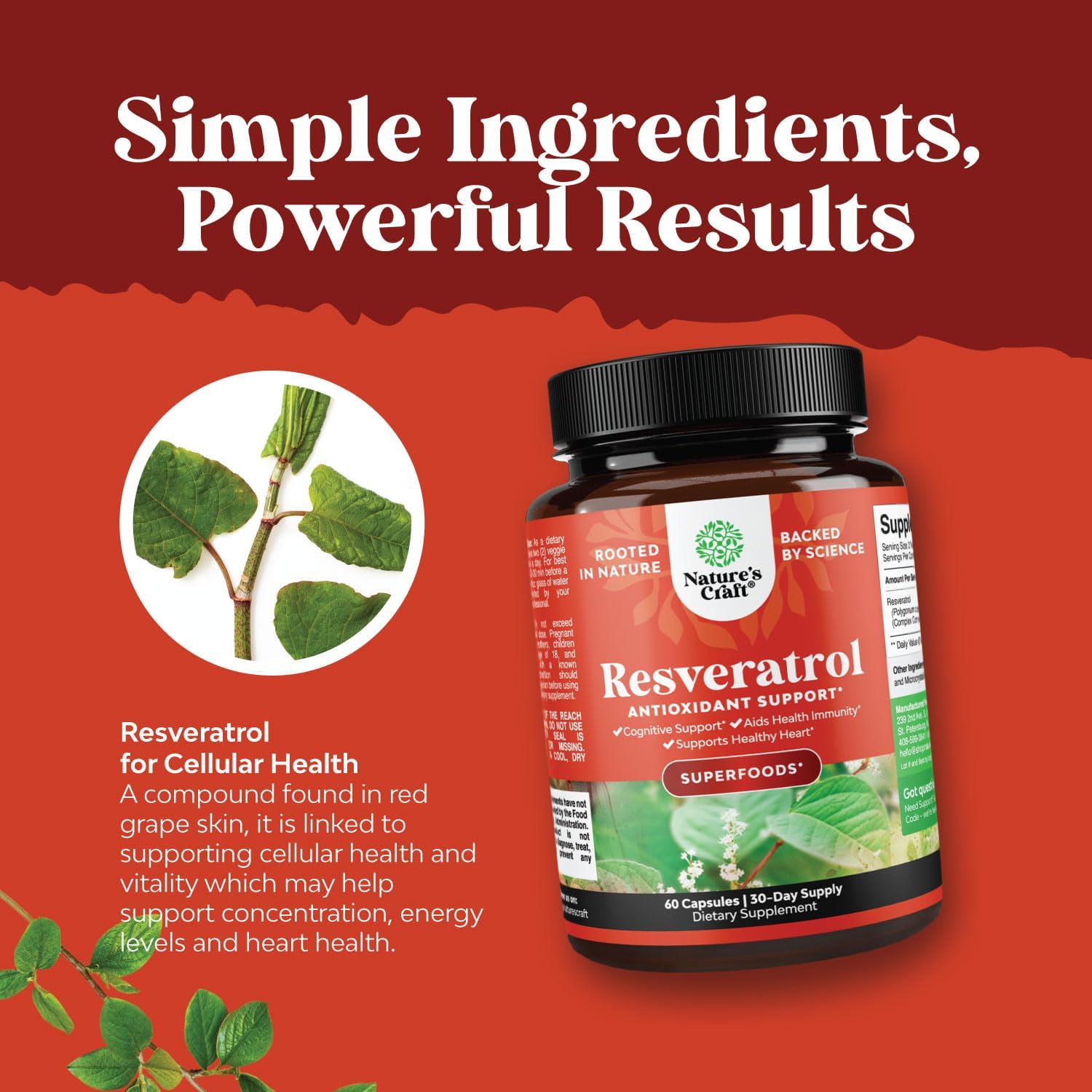 Youthful Trans Resveratrol & Vitamin B3 Capsules | AMPK Activator Brain Booster | Immune Support & Energy Supplement