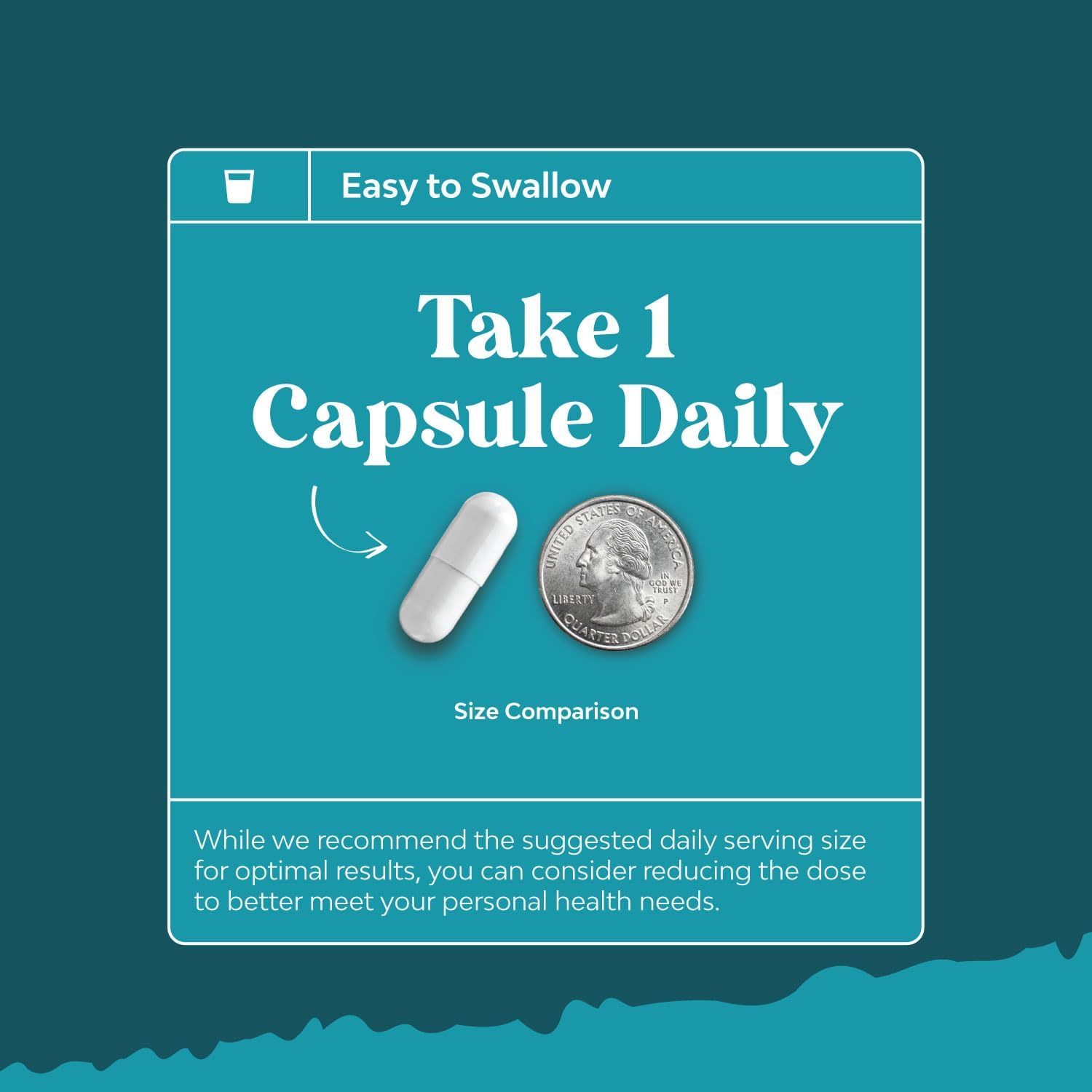 Youthful Trans Resveratrol & Vitamin B3 Capsules | AMPK Activator Brain Booster | Immune Support & Energy Supplement