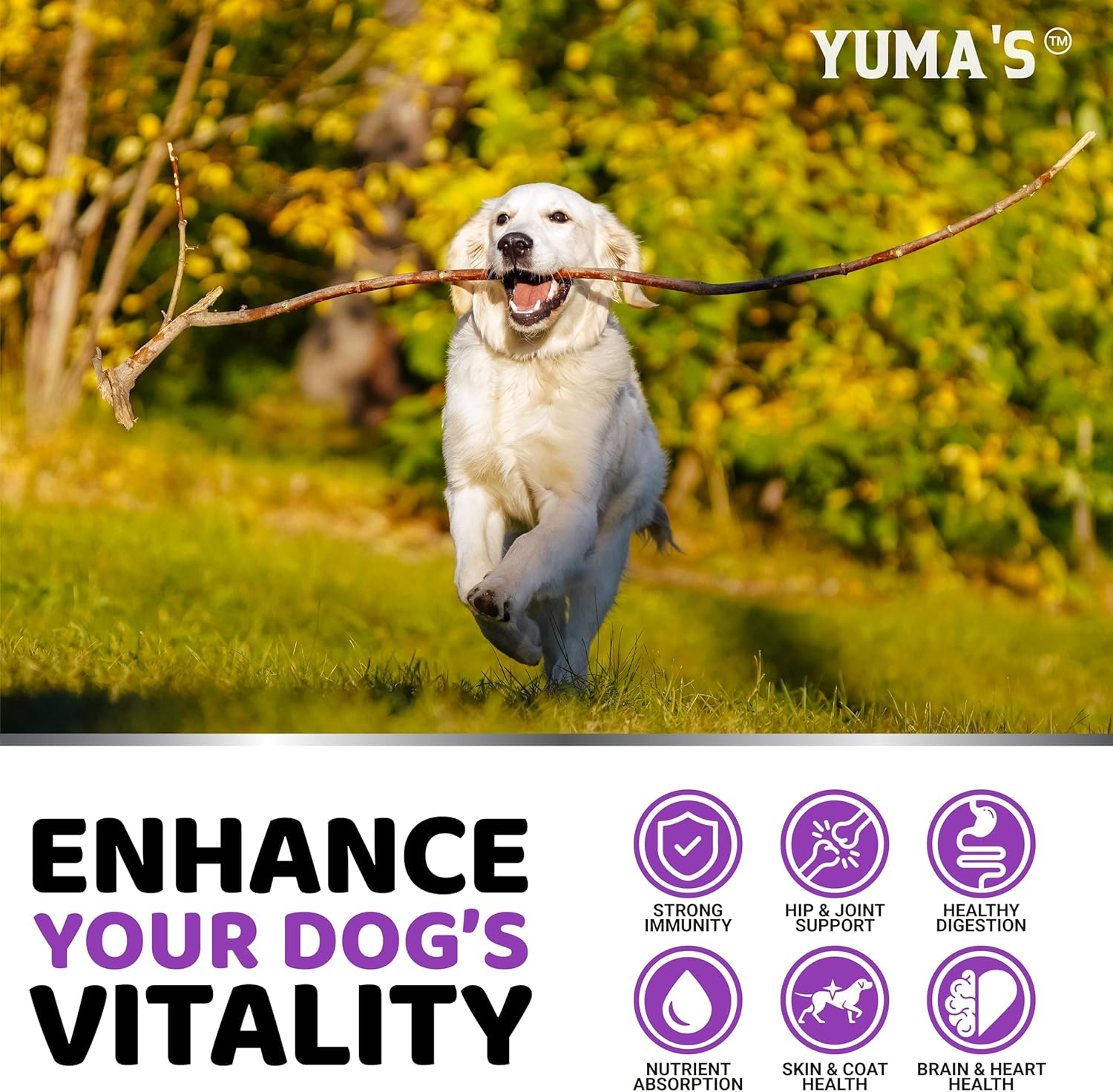YUMA'S Dog Multivitamin Chewable with Glucosamine - 170 Treats - Senior & Puppy Vitamins - Hip & Joint Support - Immune Health, Skin, Heart, Digestion, Probiotics