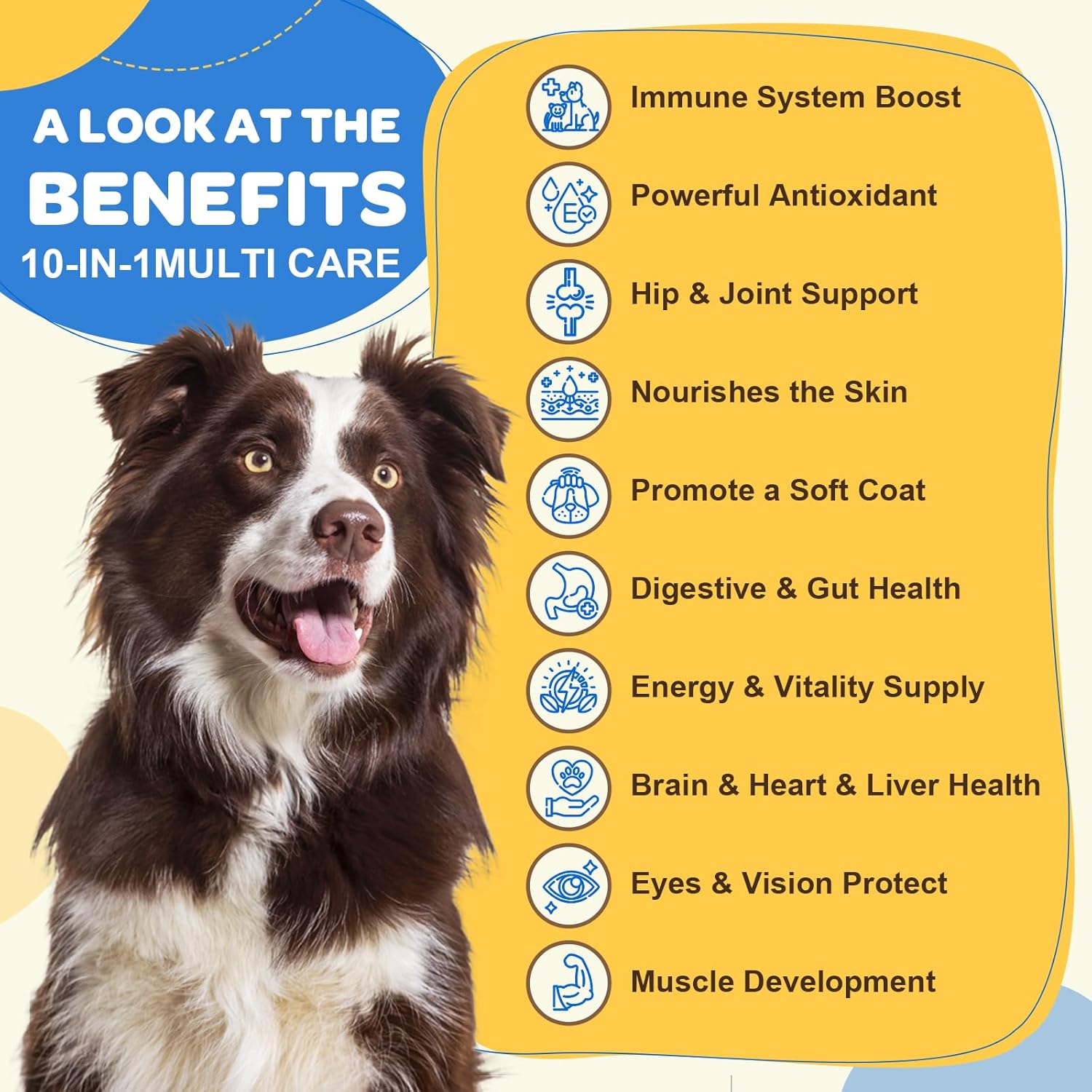 ZEBORA Dog Multivitamin with Probiotics - Essential Dog Supplements for Digestive Health, Immunity, and Joint Support