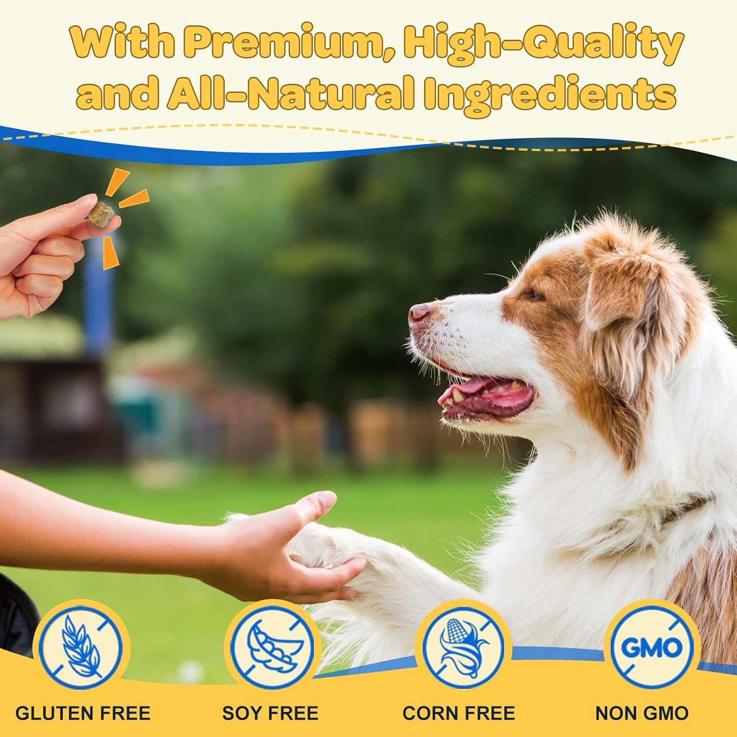 ZEBORA Dog Multivitamin with Probiotics - Essential Dog Supplements for Digestive Health, Immunity, and Joint Support