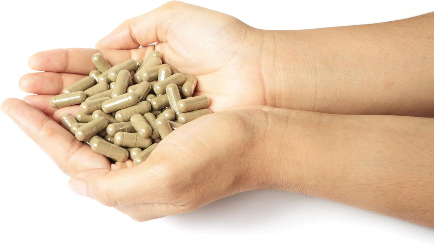 Zemvelo ParaSym+ - Boosts Metabolism, Sleep, Cognitive Function, & Nervous System | 30 Day Supply