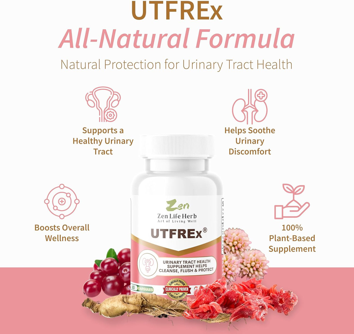 ZEN LIFE HERB UTFREx - Supports Urinary Tract Health and Immune System - Plant-Based Supplement (60 Capsules)
