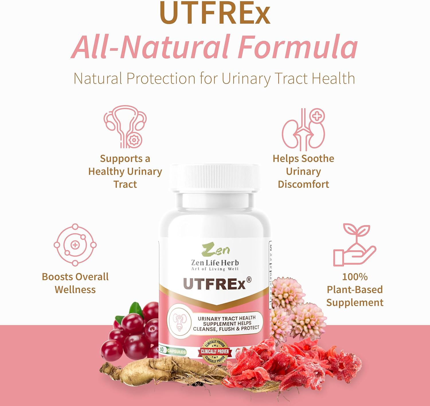ZEN LIFE HERB UTFREx - Supports Urinary Tract Health and Immune System - Plant-Based Supplement (60 Capsules)