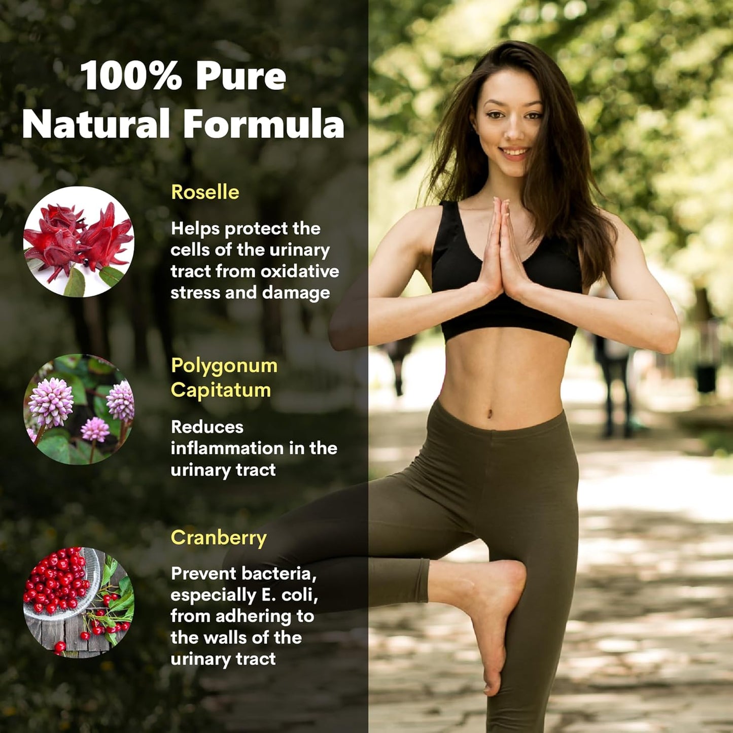 ZEN LIFE HERB UTFREx - Supports Urinary Tract Health and Immune System - Plant-Based Supplement (60 Capsules)