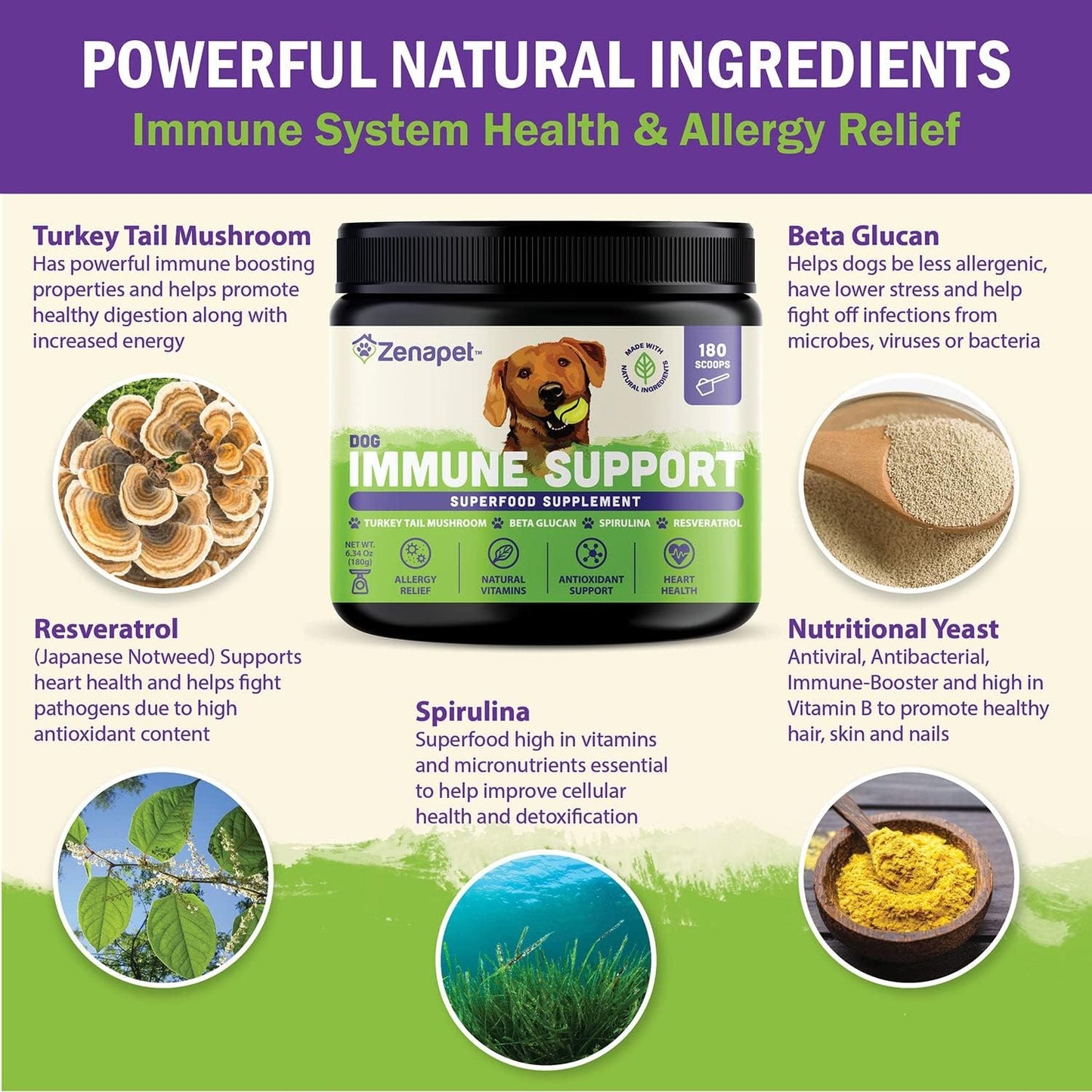 ZENAPET Allergy Immune Support Supplement for Dogs - Superfood with Turkey Tail Mushroom, Prebiotics for Gut Health - Itchy Skin, Seasonal Allergies & Yeast Relief - Small to Large Breeds
