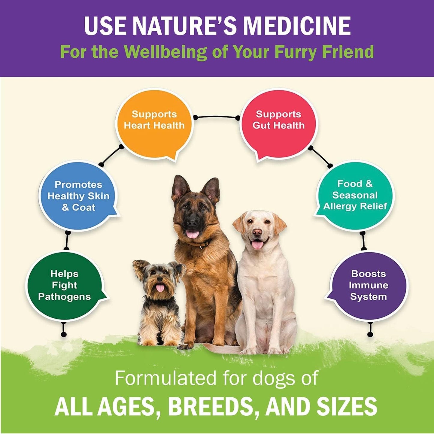 ZENAPET Allergy Immune Support Supplement for Dogs - Superfood with Turkey Tail Mushroom, Prebiotics for Gut Health - Itchy Skin, Seasonal Allergies & Yeast Relief - Small to Large Breeds