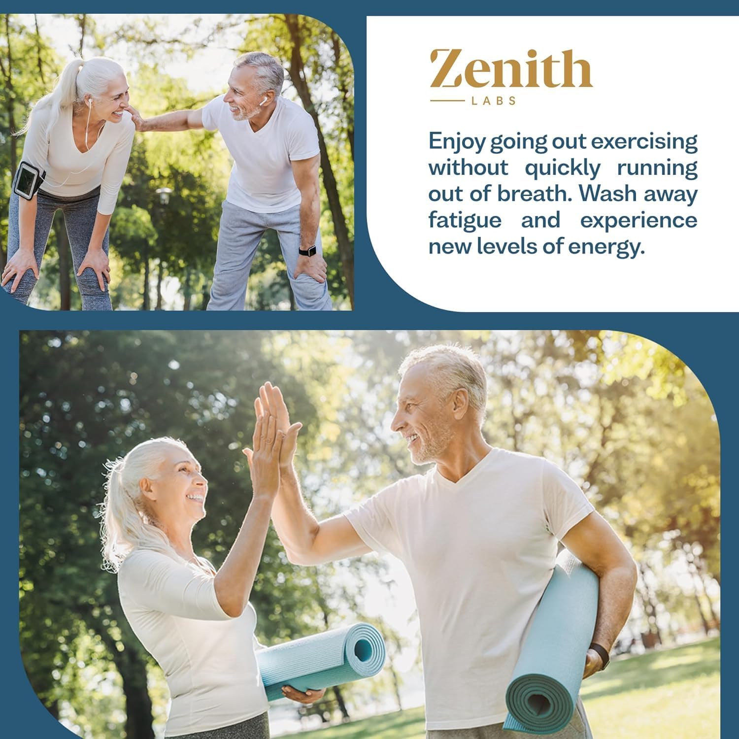 Zenith Labs BP Zone Herbal Extract Capsules - Natural Supplement to Lower Blood Pressure - Cardiovascular Support - 6 Pack