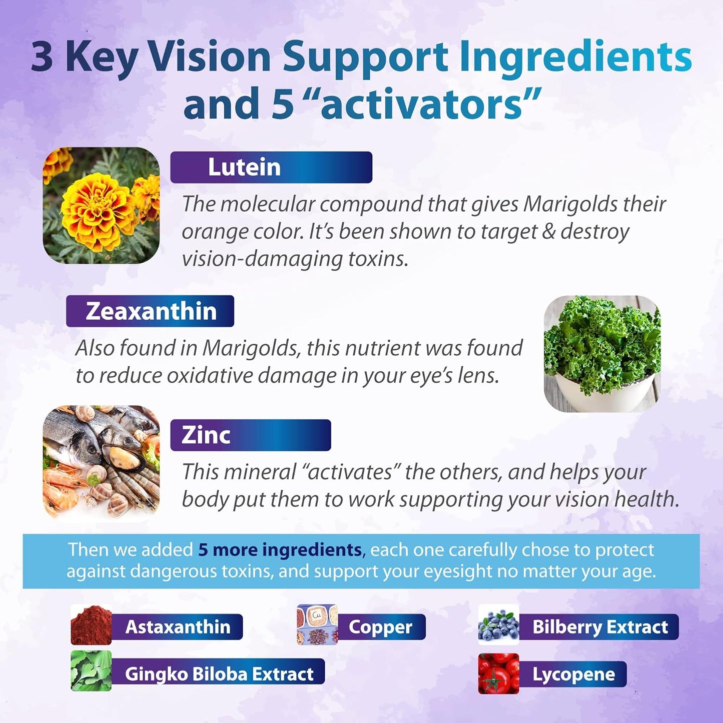 Zenith Labs Vision 20 Eye Vitamins - Carotenoid Blend with Lutein, Zeaxanthin, and Bilberry Extract - Promotes Eye Health and Reduces Eye Strain - Pack of 3
