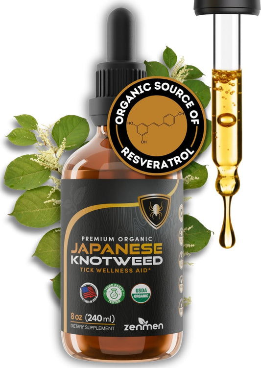 Zenmen Japanese Knotweed Tincture 240ml - Premium USDA Organic, 3rd Party Tested, High Resveratrol - Immune Support - Made in USA