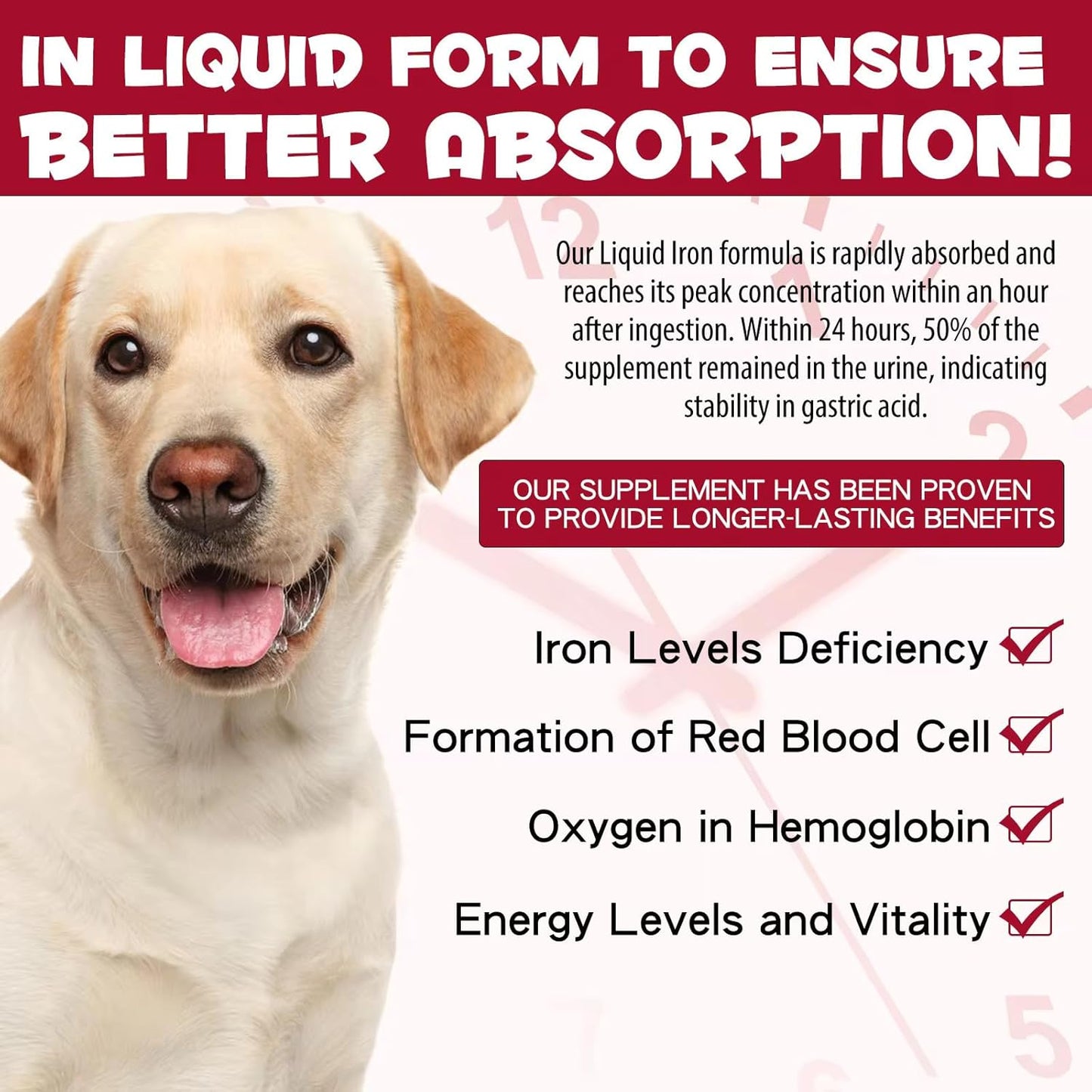 Zenpaws Liquid Iron Supplement for Dogs with Folate and B12 - Supports Anemia Treatment, Boosts Blood Health and Energy Levels - 2 oz