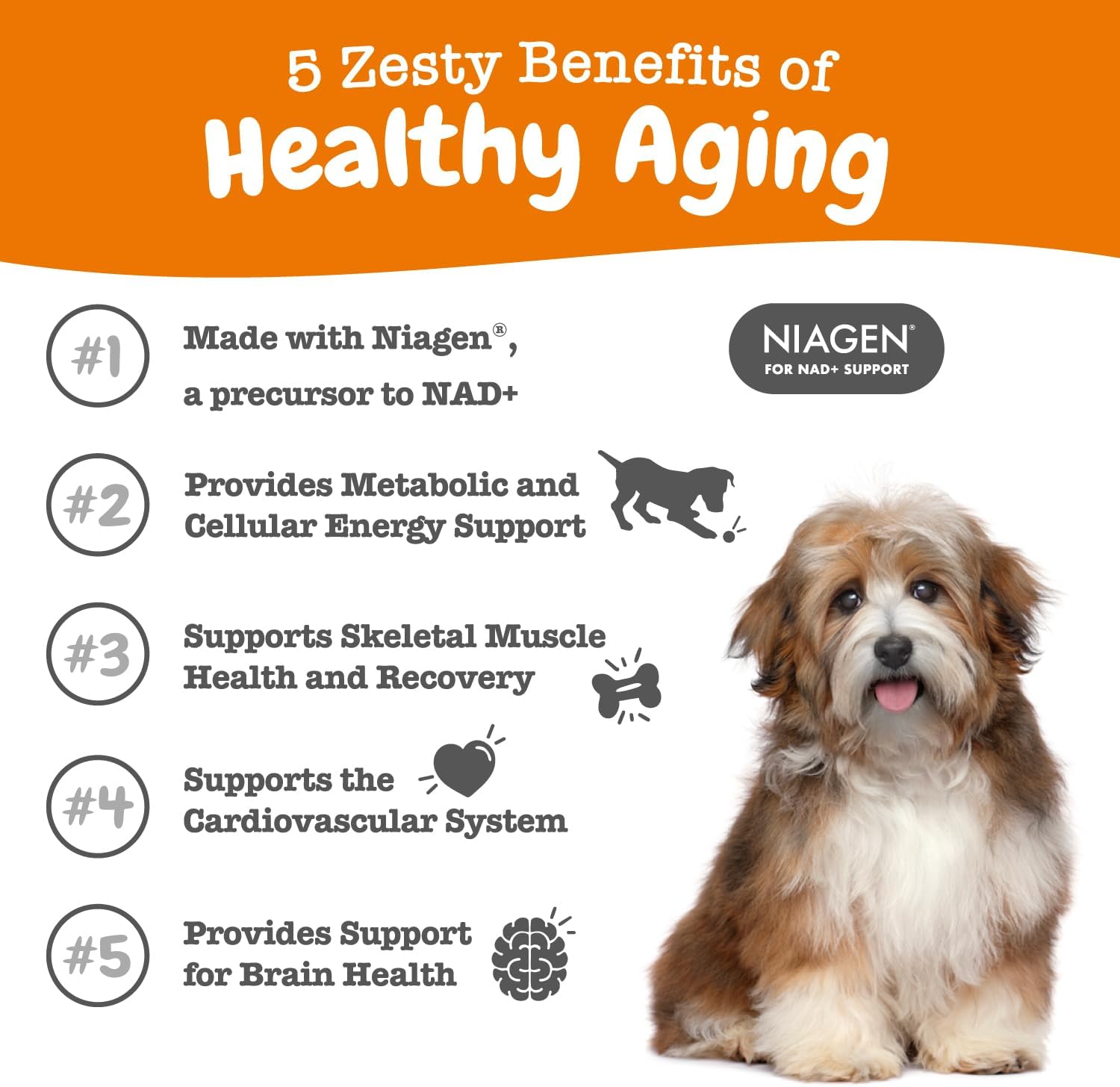 Zesty Paws Niagen Supplement for Dogs - NAD+ Precursor for Healthy Aging & Muscle Recovery - Supports Brain, Heart, & Energy - 30 Sachets